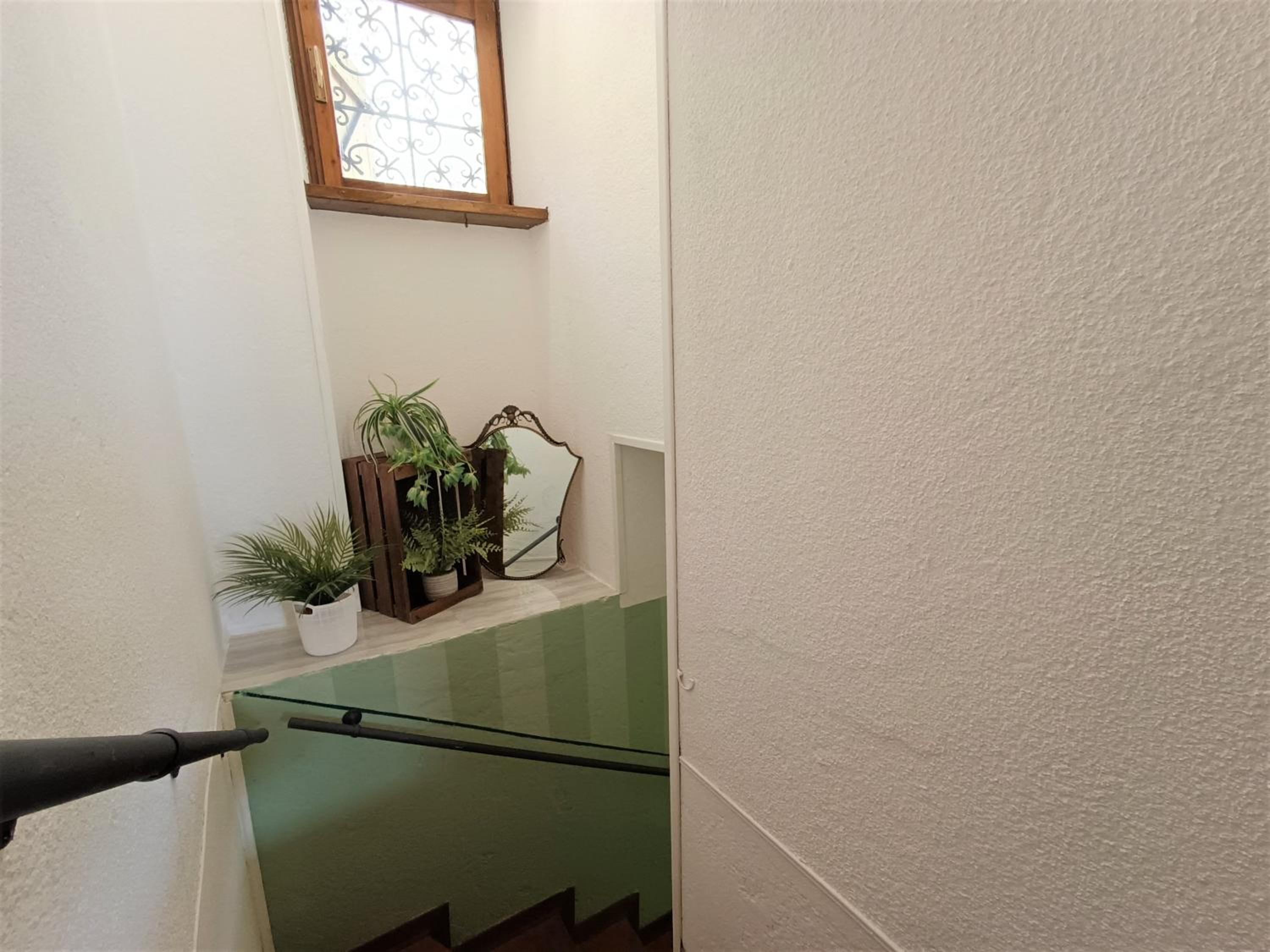 One-Bedroom House photo 2