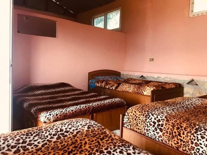 Single Bed in Mixed Dormitory Room photo 1