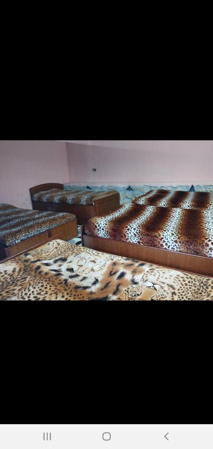 Single Bed in Mixed Dormitory Room photo 2