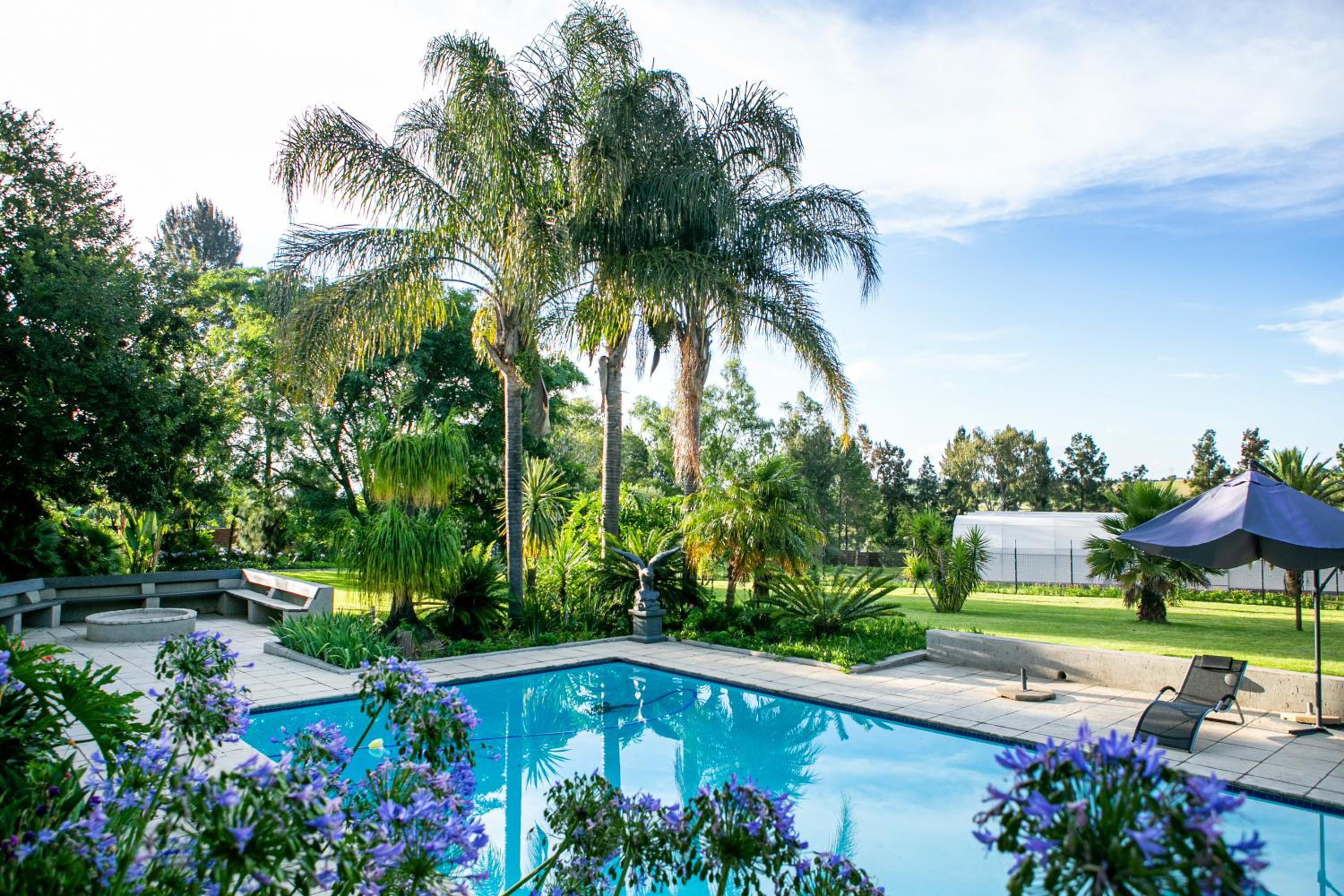 Double Room with Pool View - Photo 14