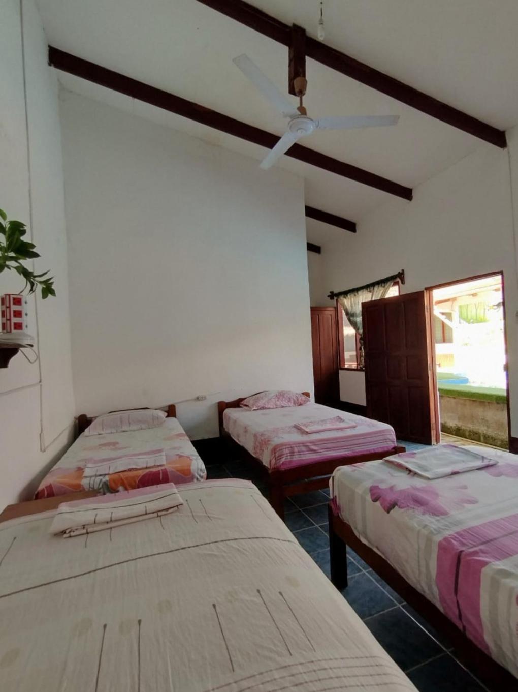 Single Bed in Mixed Dormitory Room photo 1