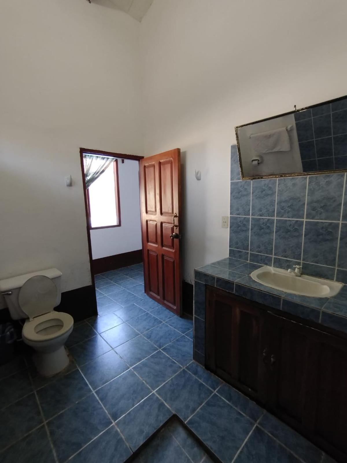 Single Bed in Mixed Dormitory Room photo 2
