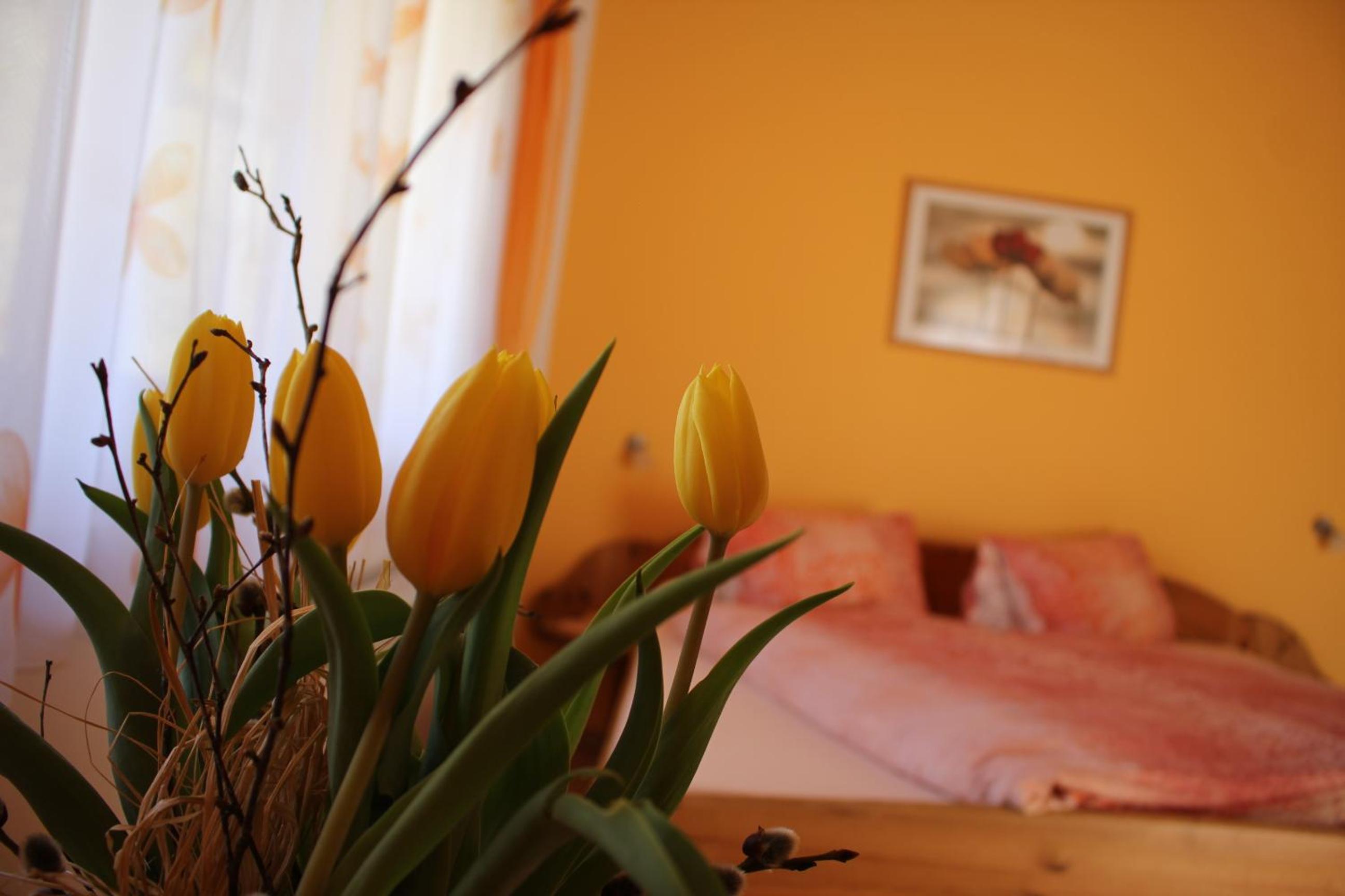 One-Bedroom Apartment with Terrace