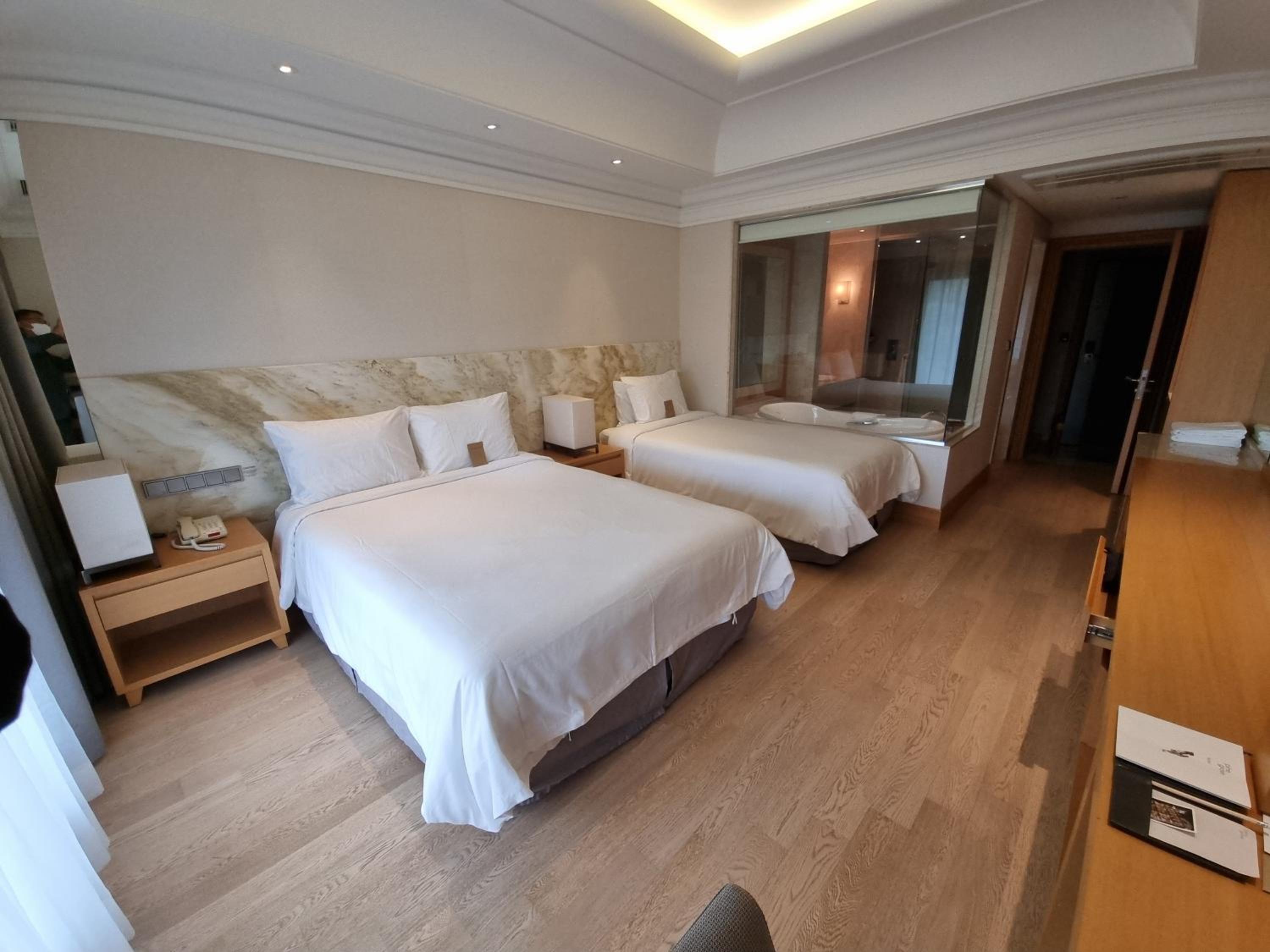 Deluxe Family Twin Room (Park view)