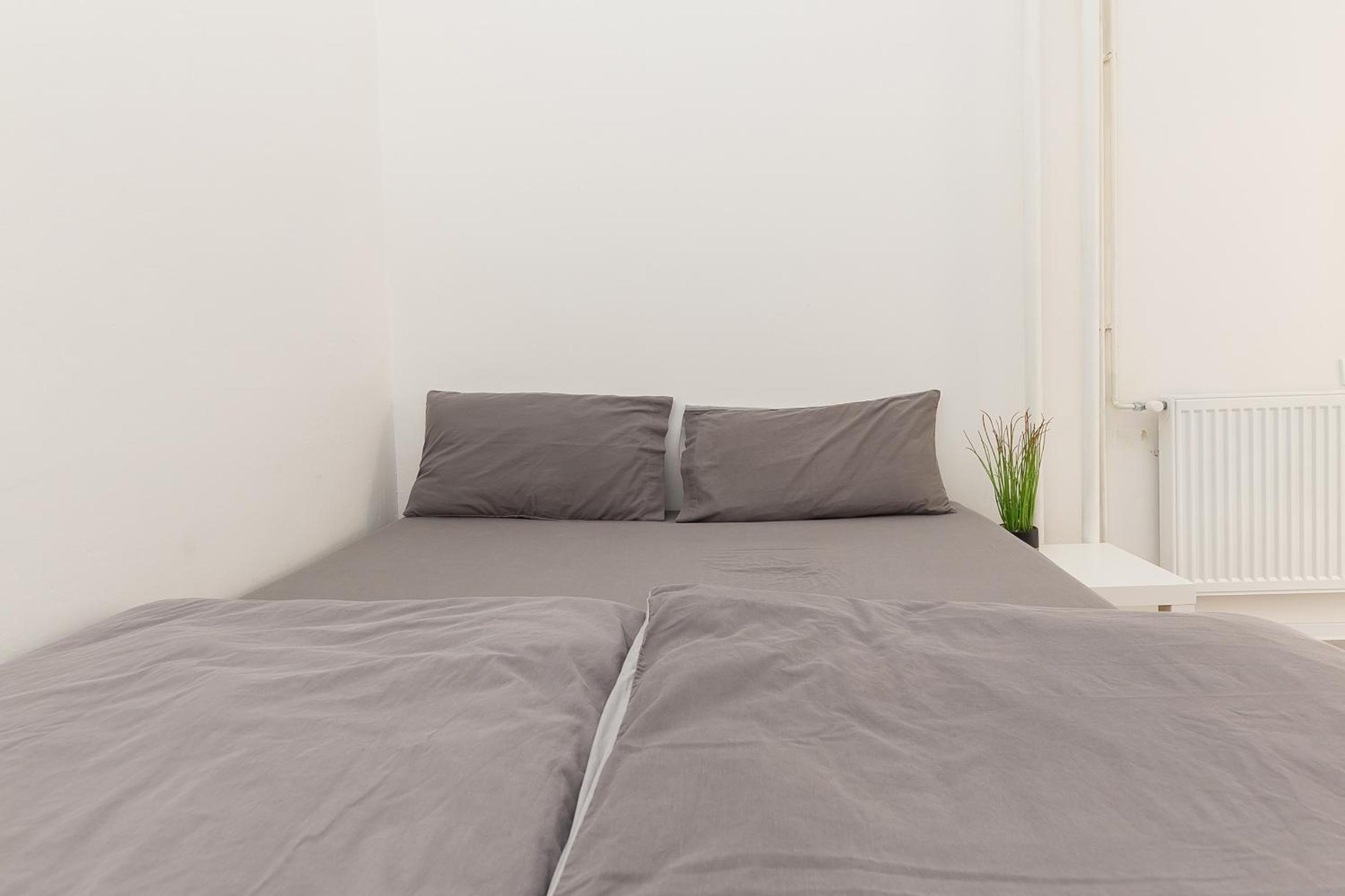 Three-Bedroom Apartment - Photo 10
