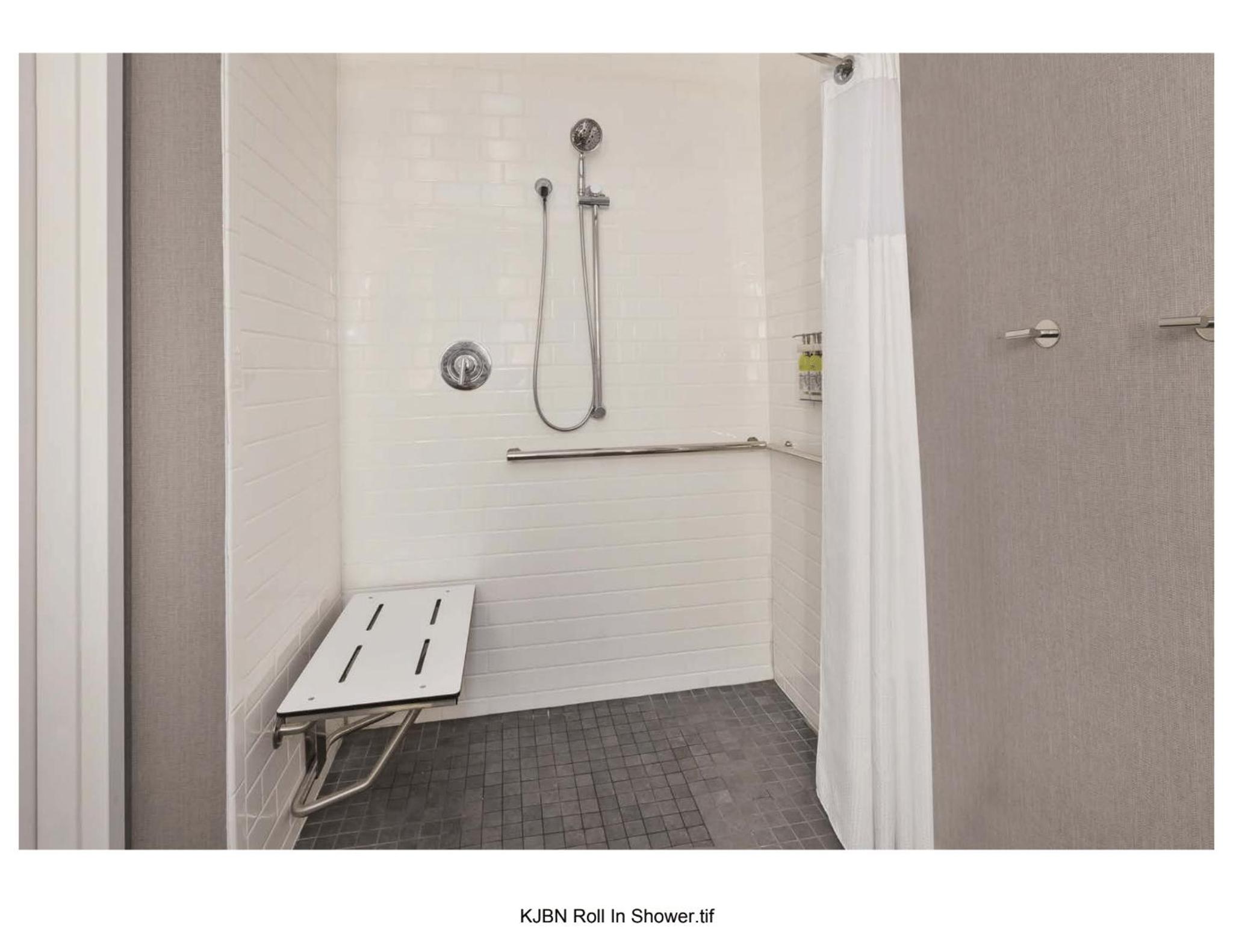 Studio Queen Suite with Two Queen Beds and Mobility Accessible Roll-In Shower - Photo 2