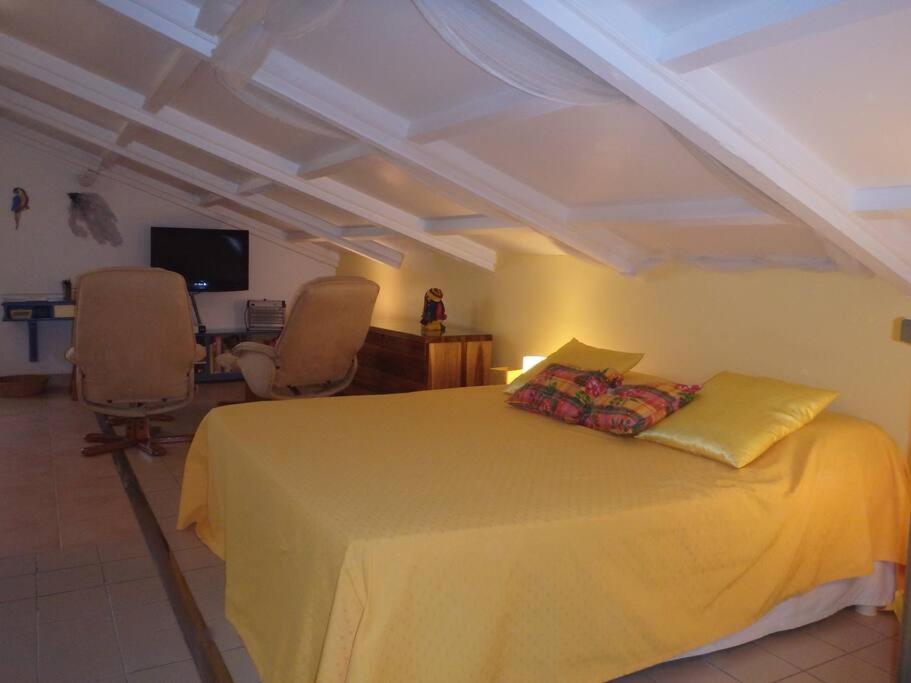 Studio Apartment with Sea View photo 1