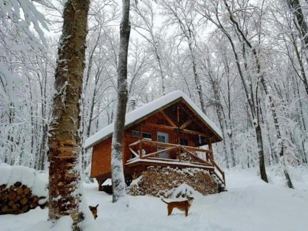 Chalet - Photo 3