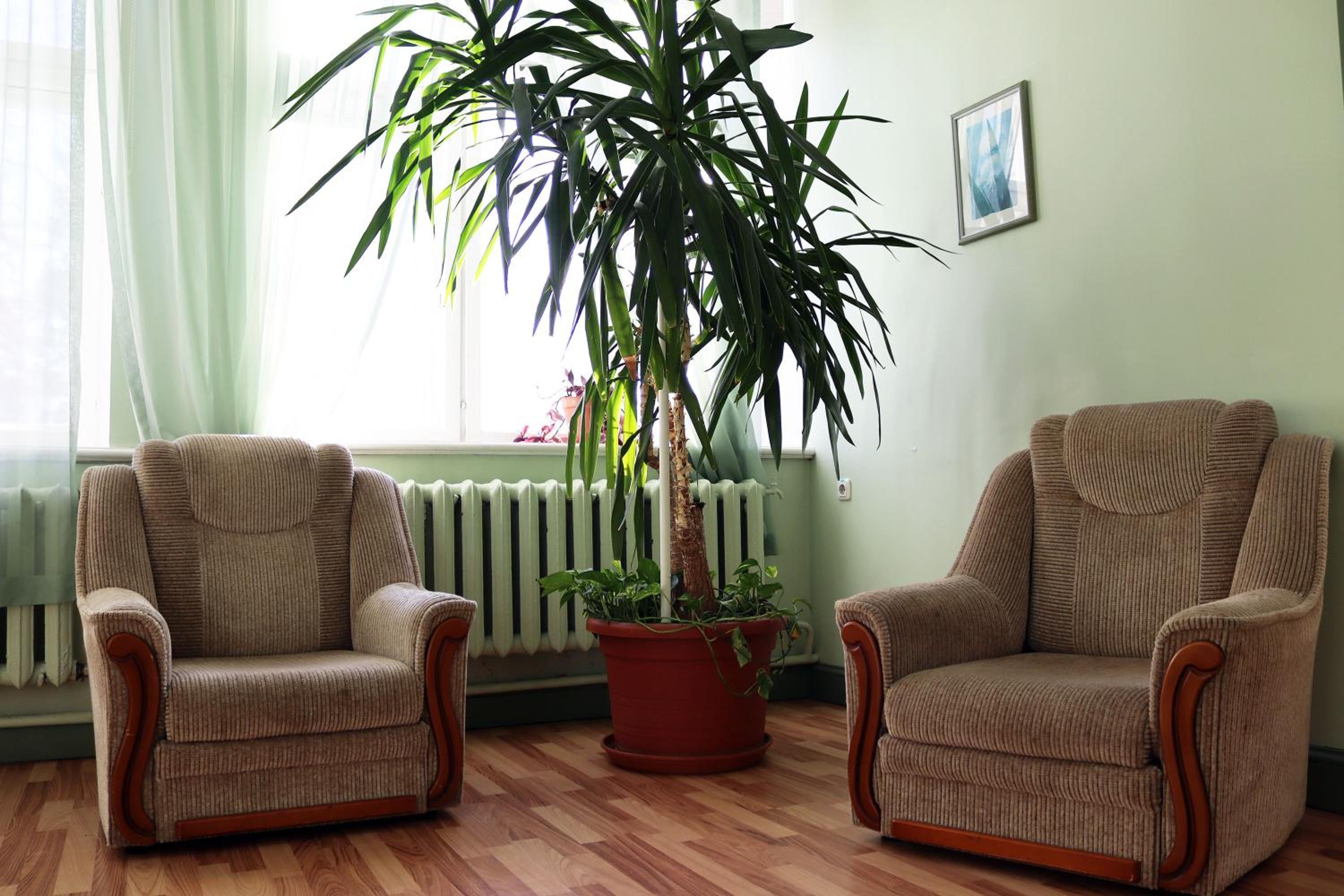 Family Suite - Photo 2