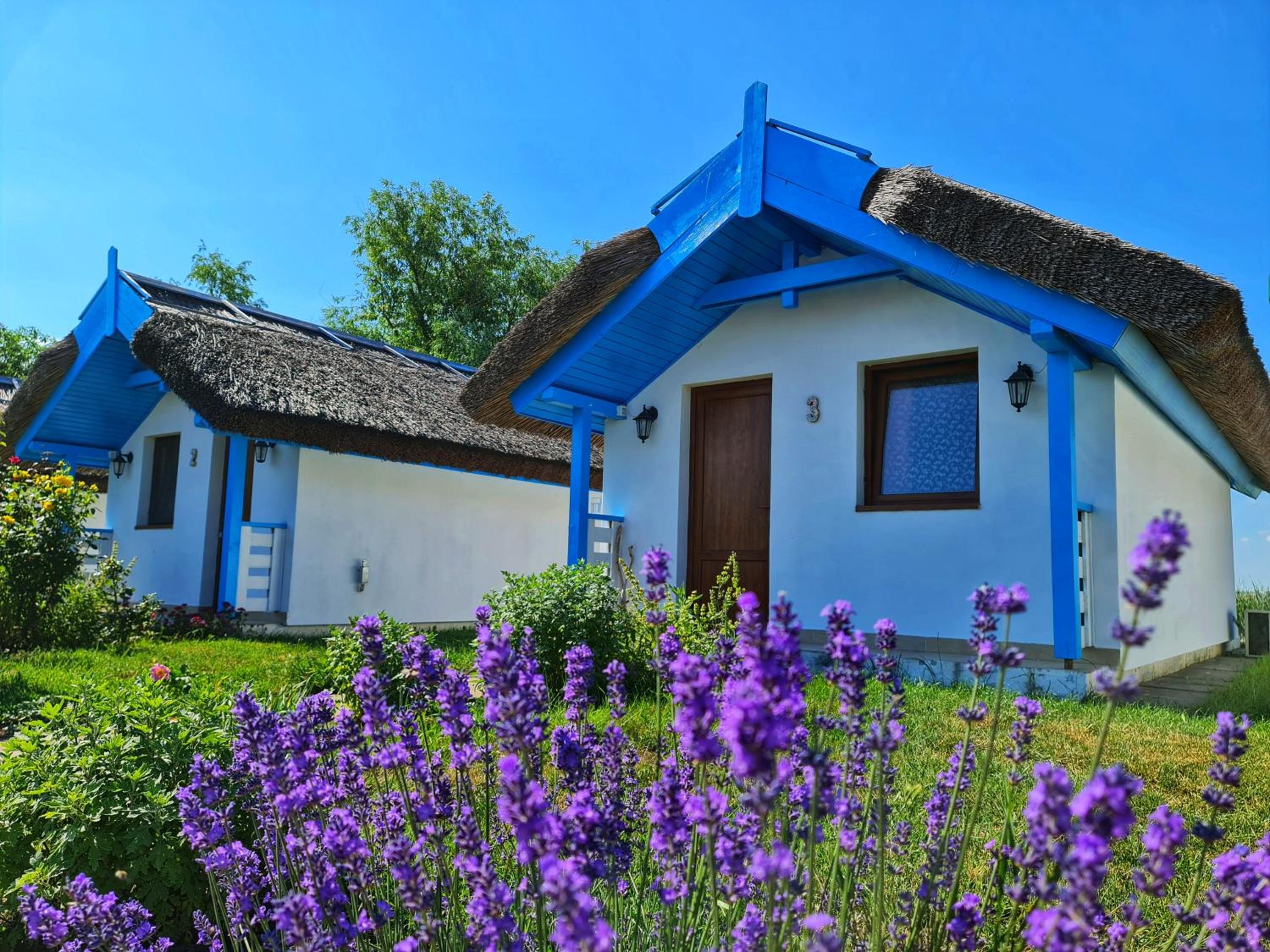 Deluxe Bungalow - Photo 9