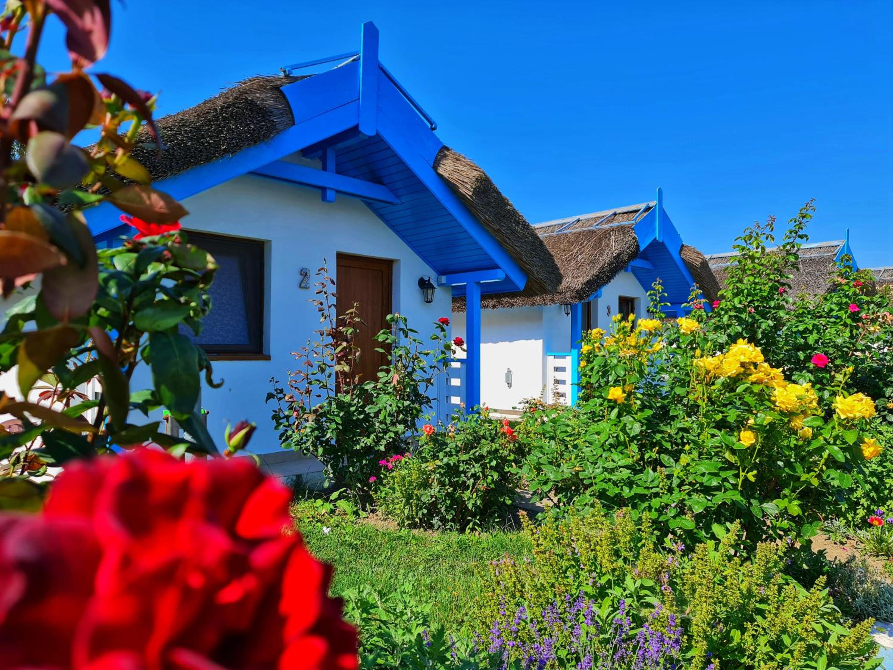 Deluxe Bungalow - Photo 6