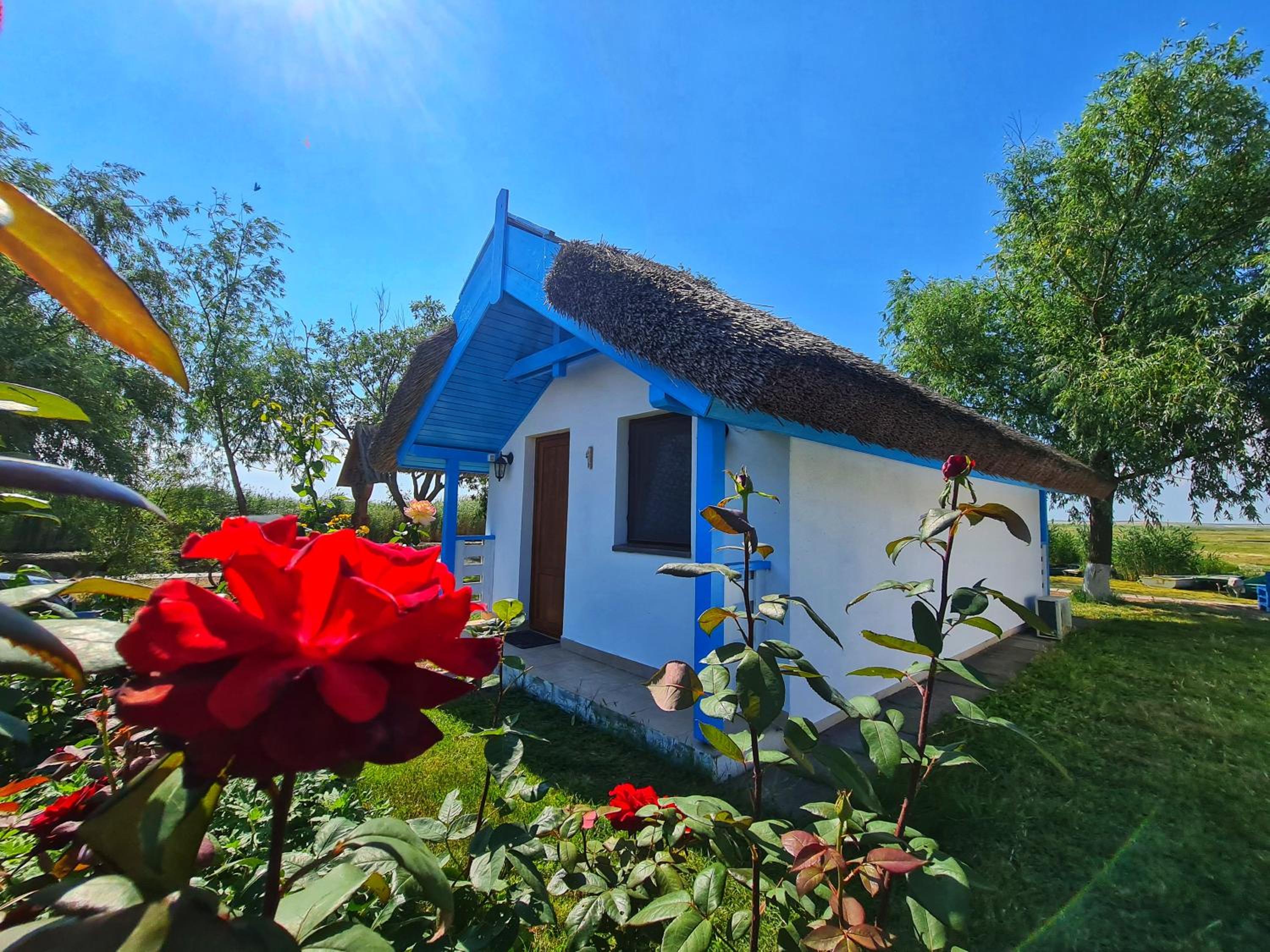 Deluxe Bungalow - Photo 11