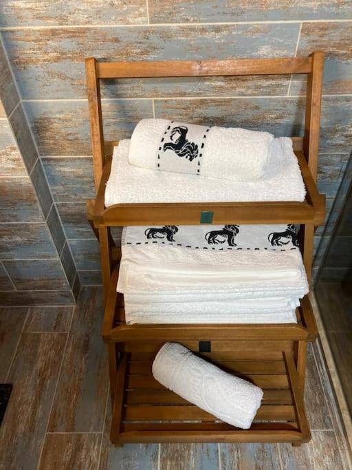 Studio Apartment - Photo 5