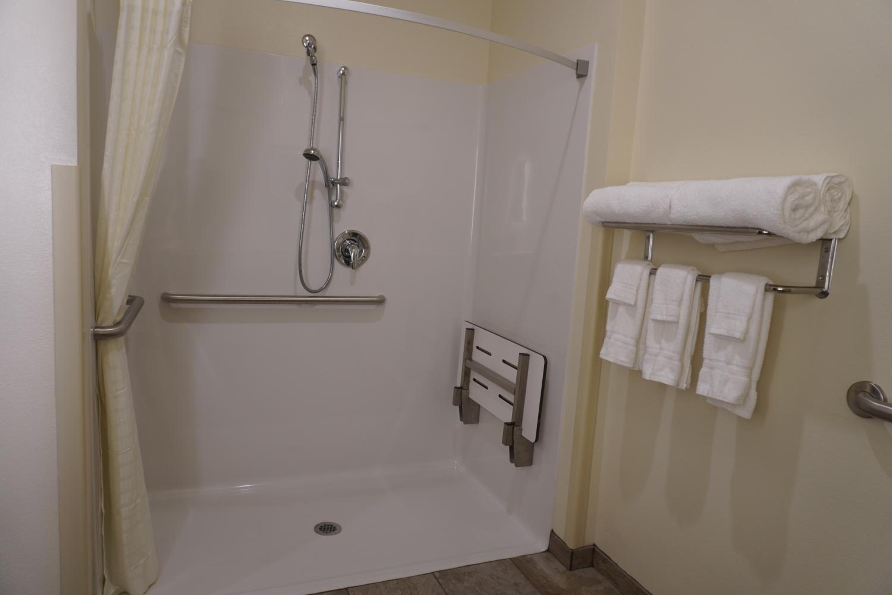 King Suite With Roll-In Shower- Sofabed - Accessible/Non Smoking - Photo 2