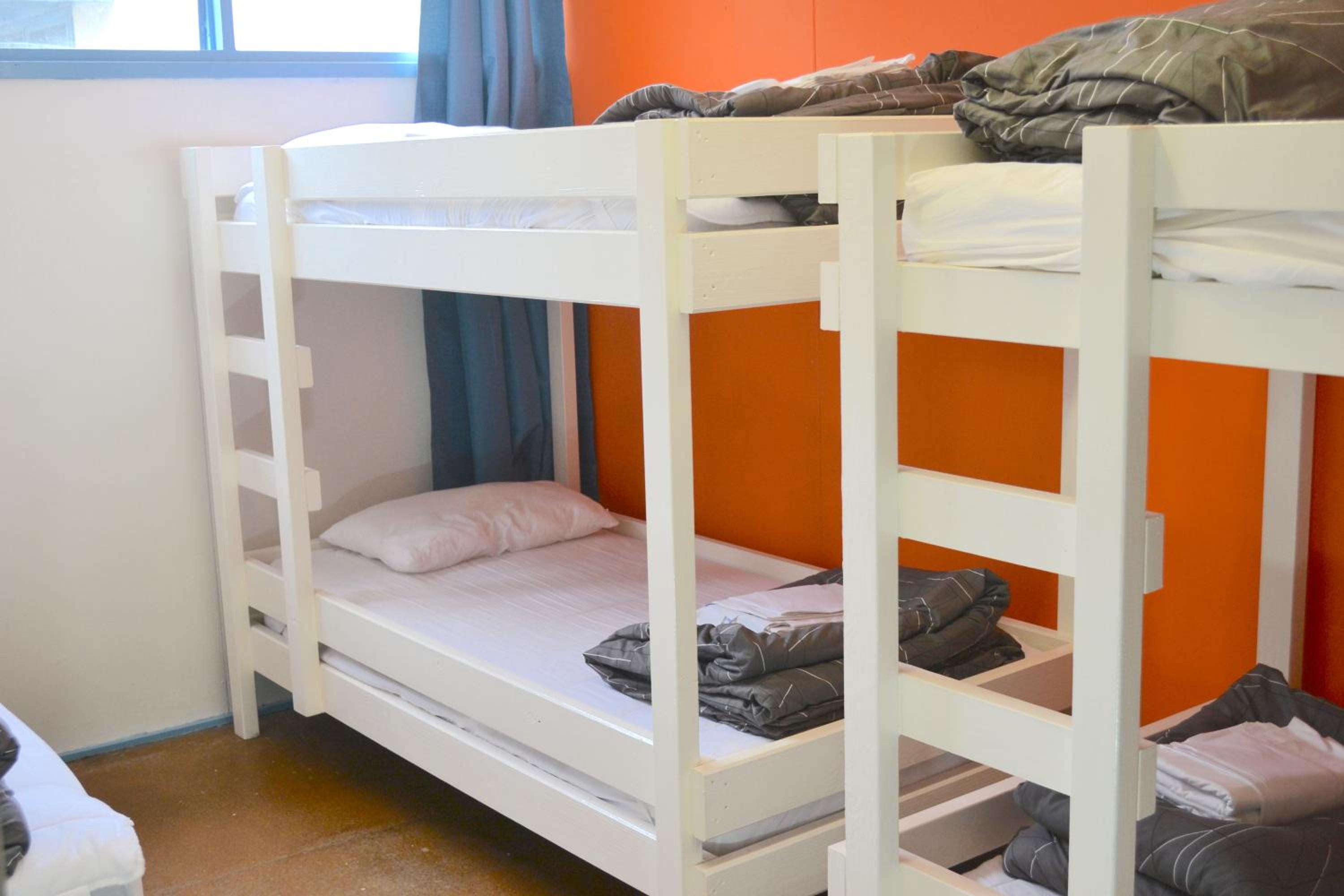 Bunk Bed in Mixed Dormitory Room photo 1