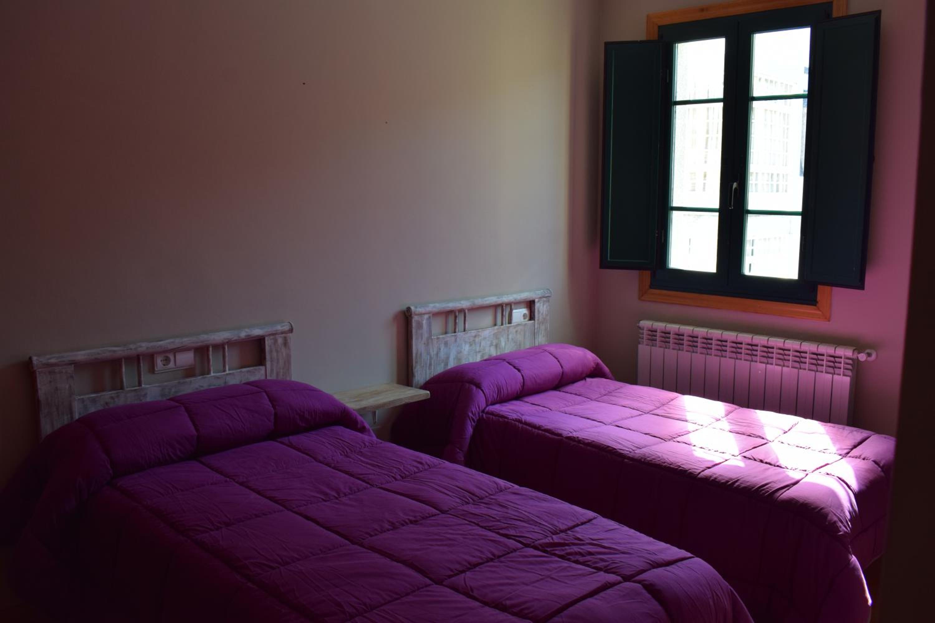 Twin Room photo 2