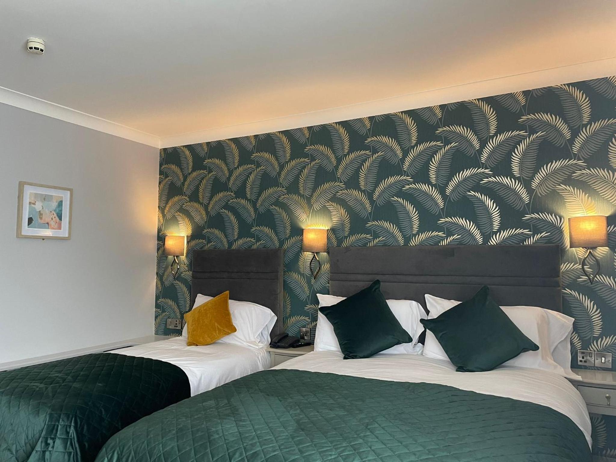 Single Room photo 1