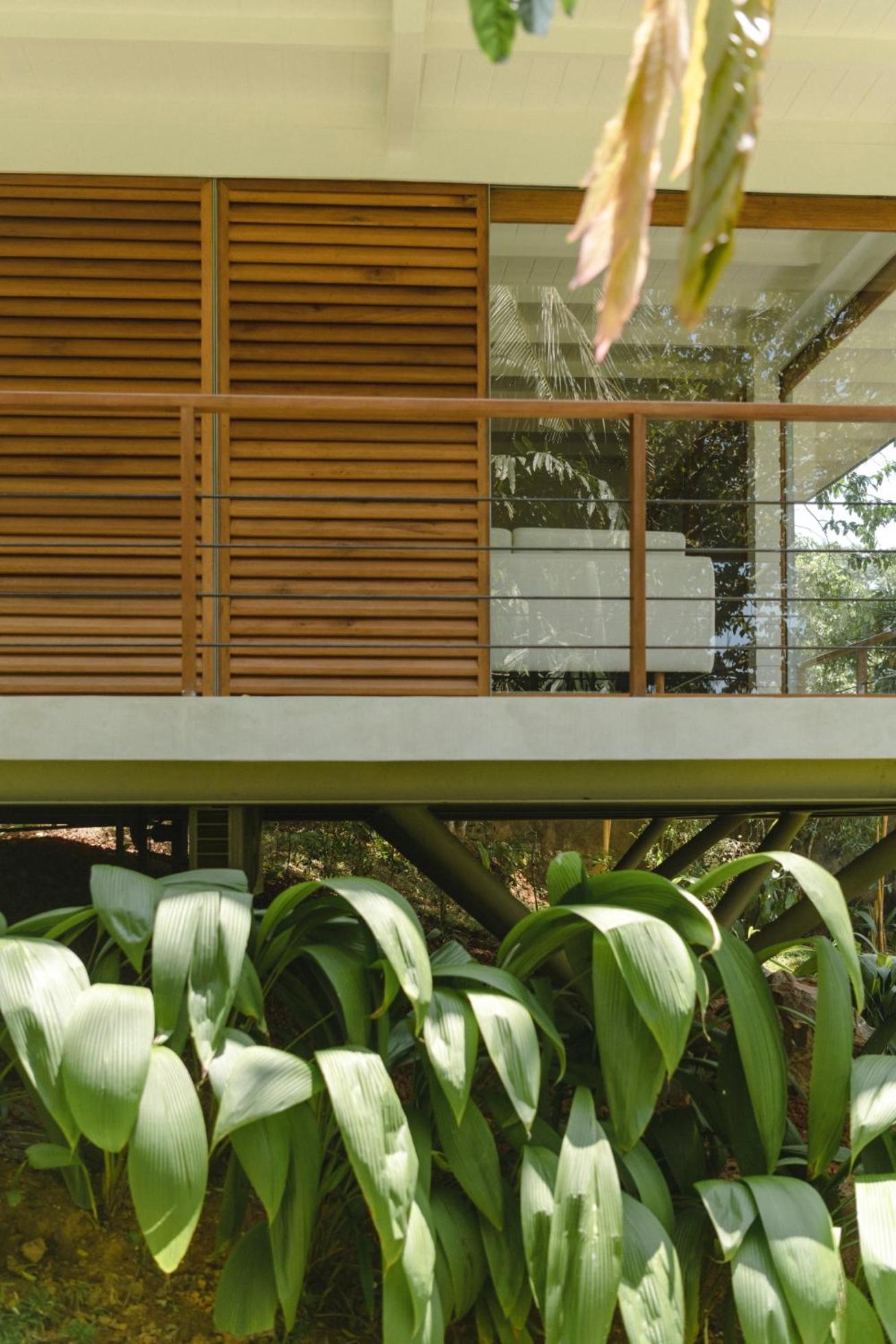 Tree House with Lake View photo 3