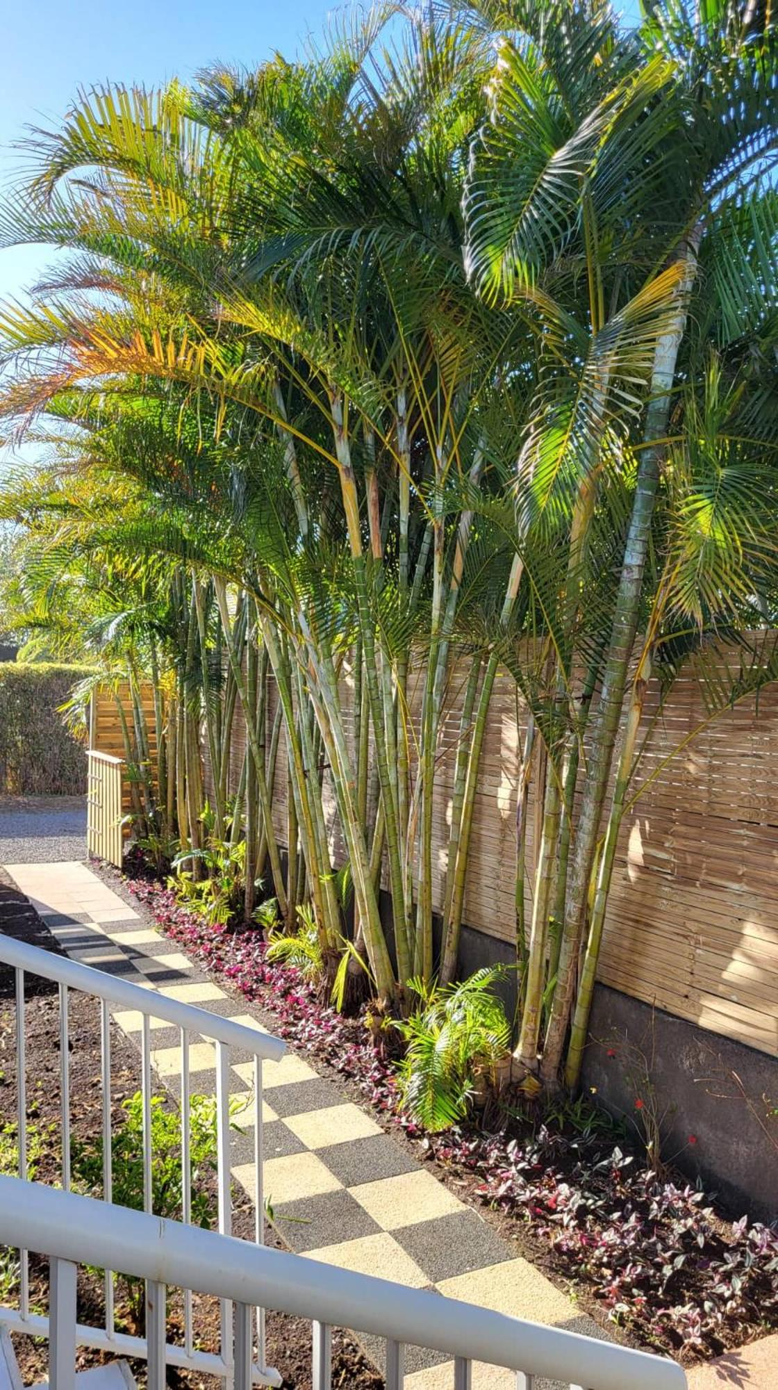 Standard Villa - Photo 22