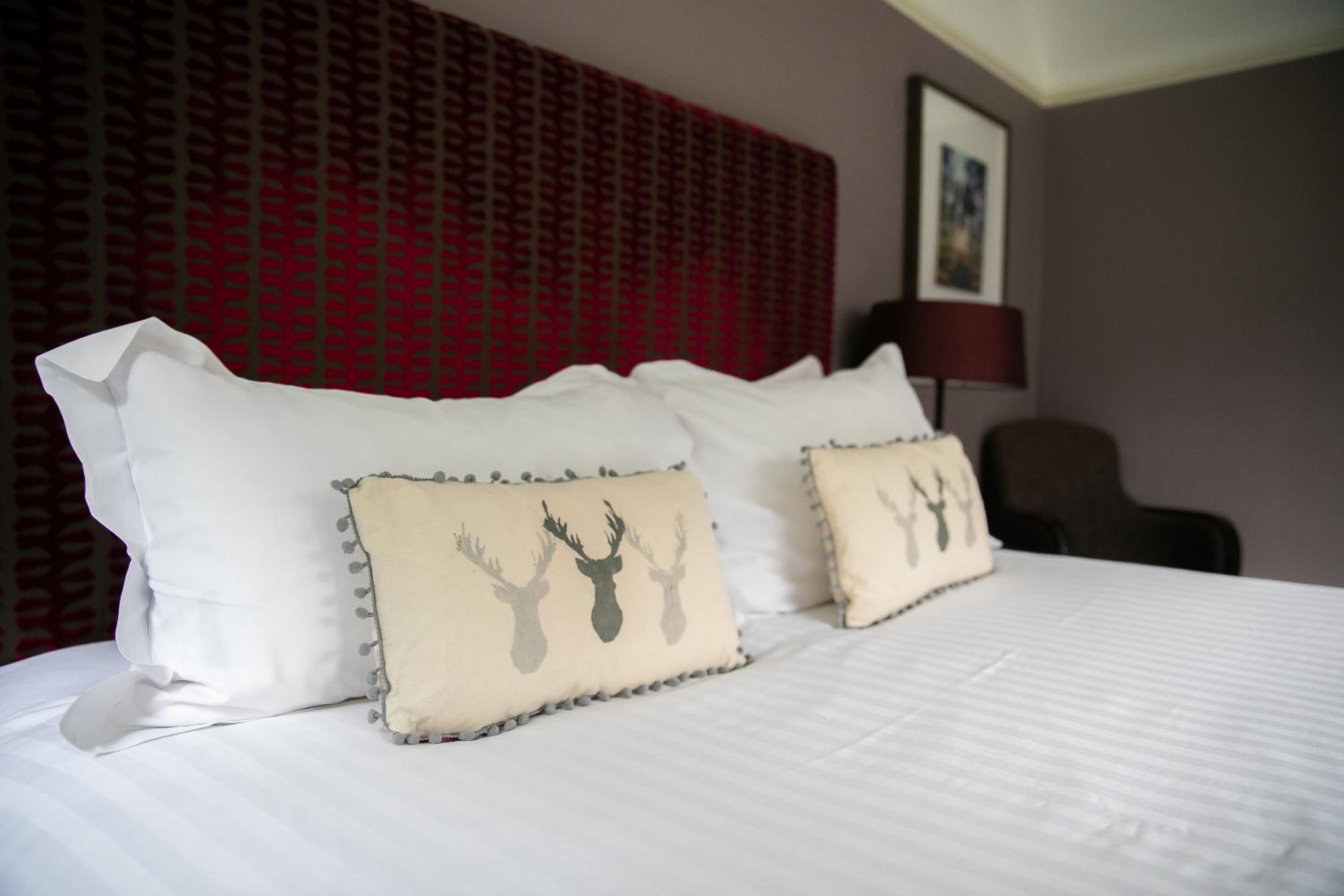 Lodge Double Room photo 2