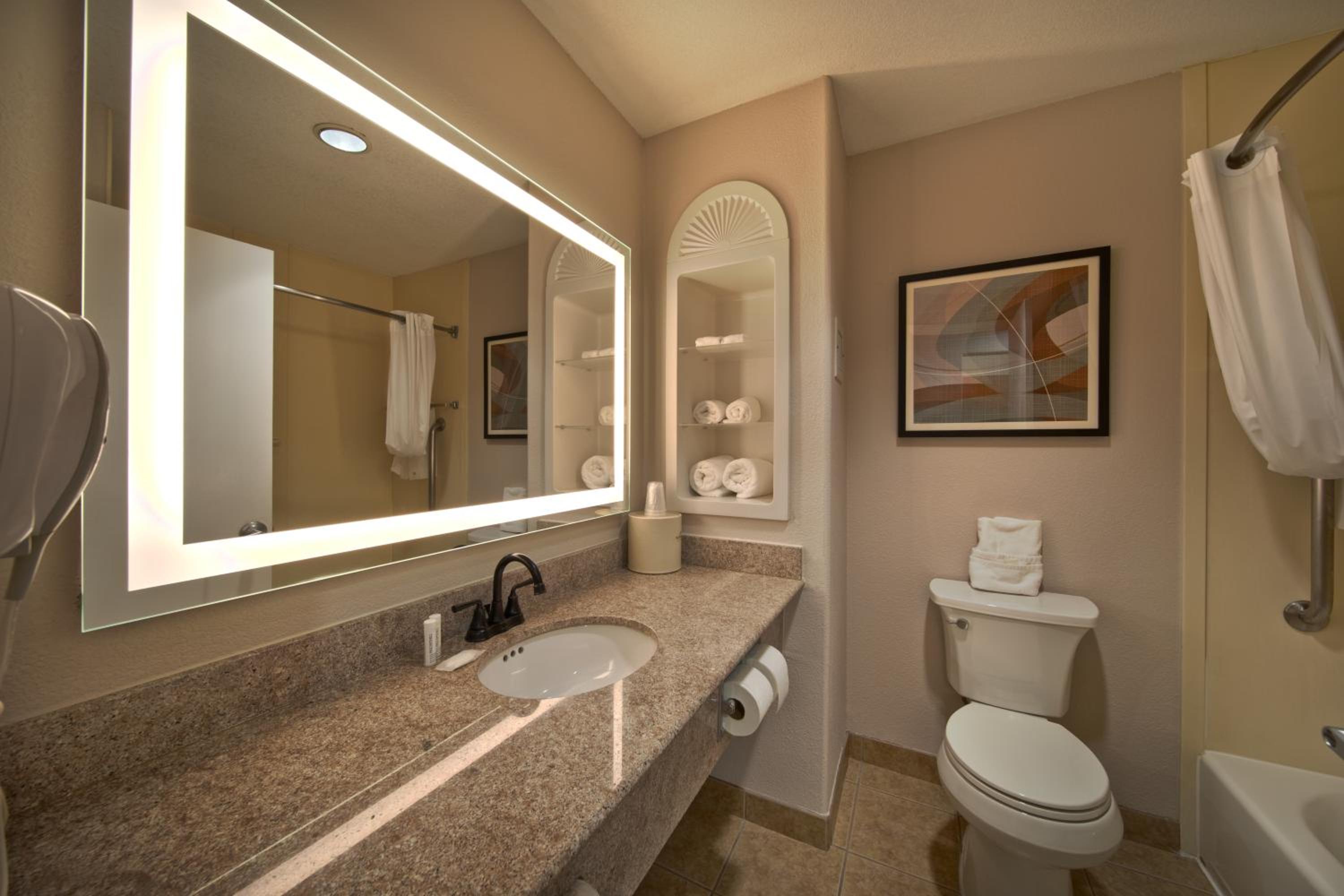 Deluxe King Suite with Bath Tub - Mobility/Hearing Accessible - Photo 6