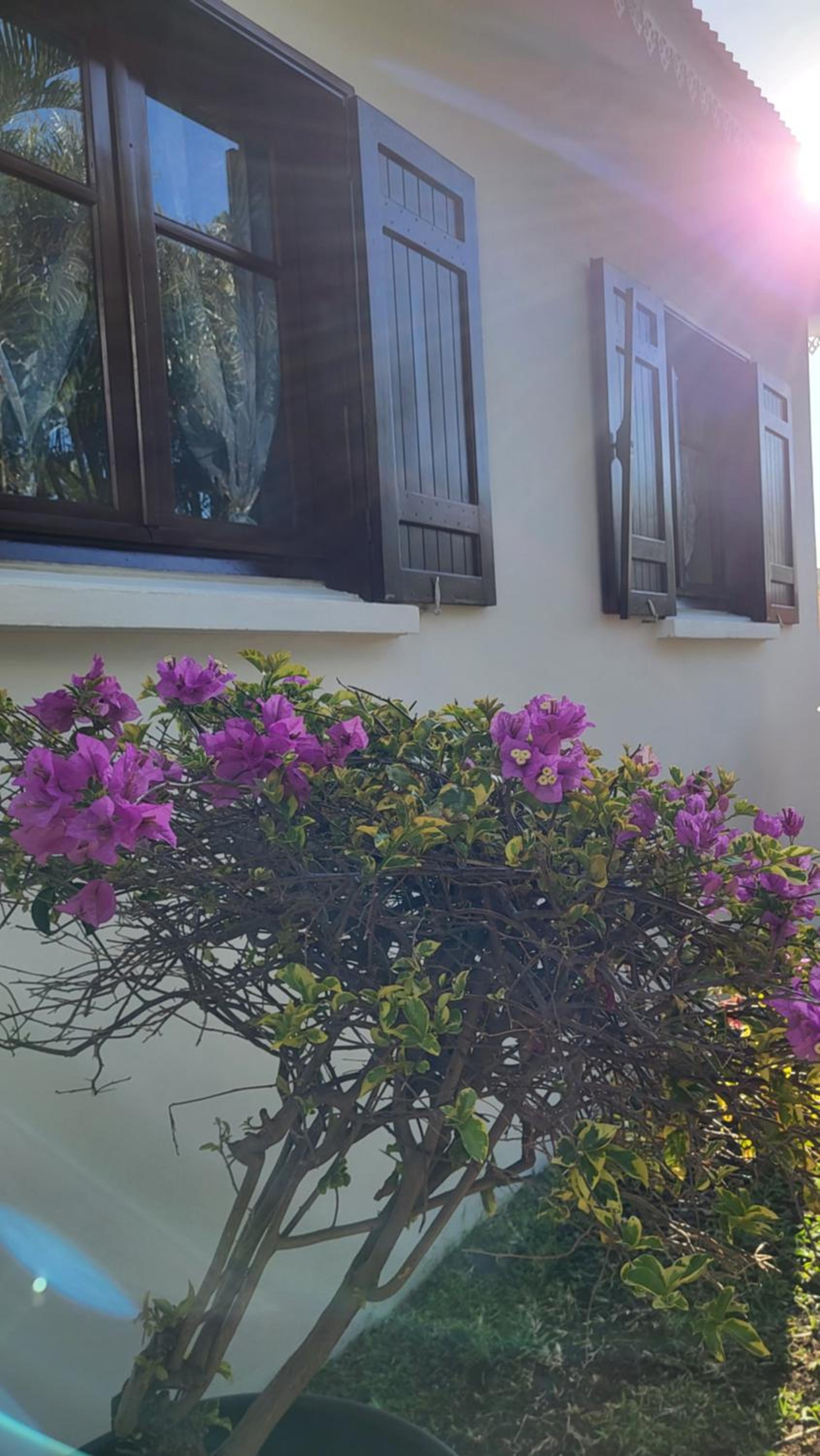 Standard Villa - Photo 7