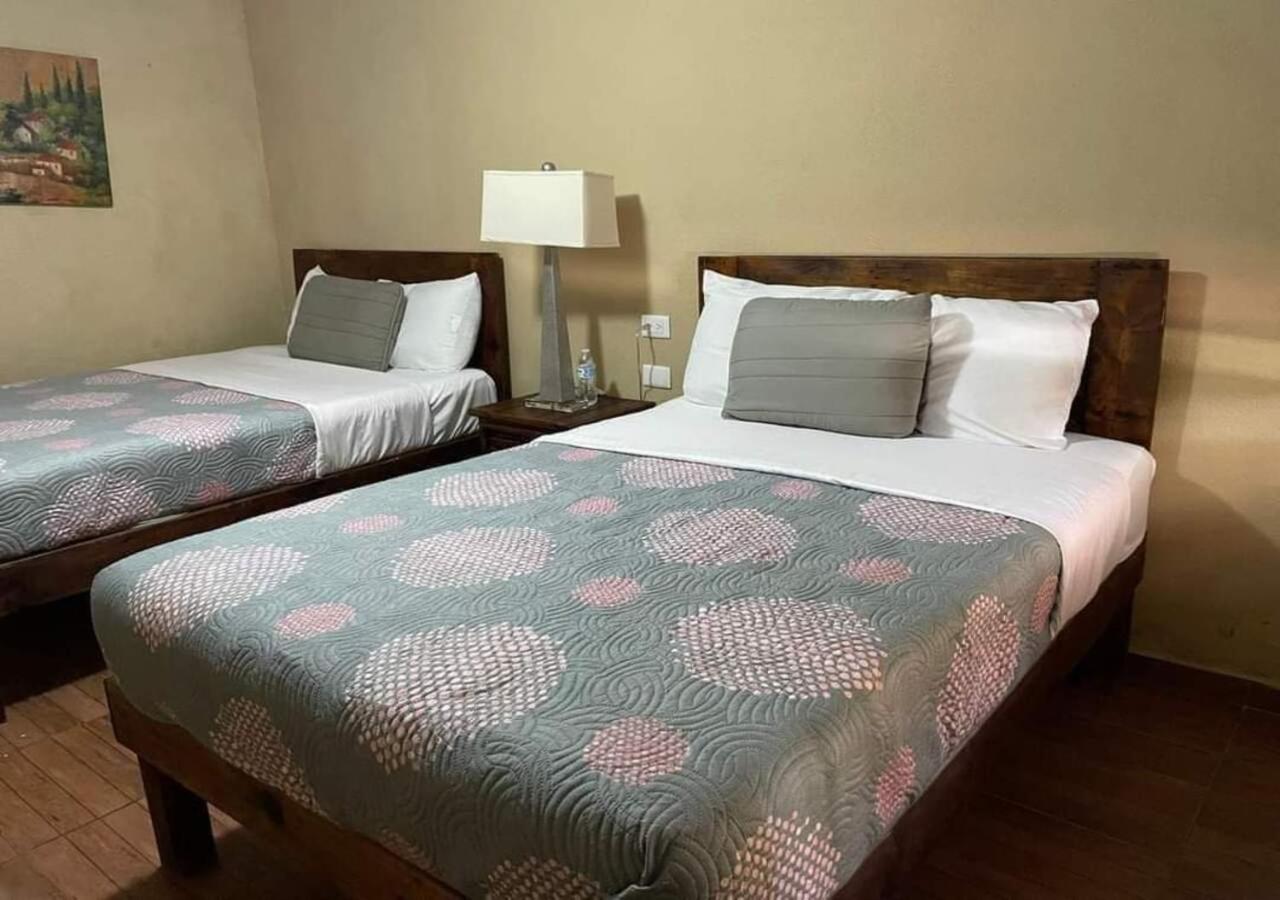 Twin Room photo 1