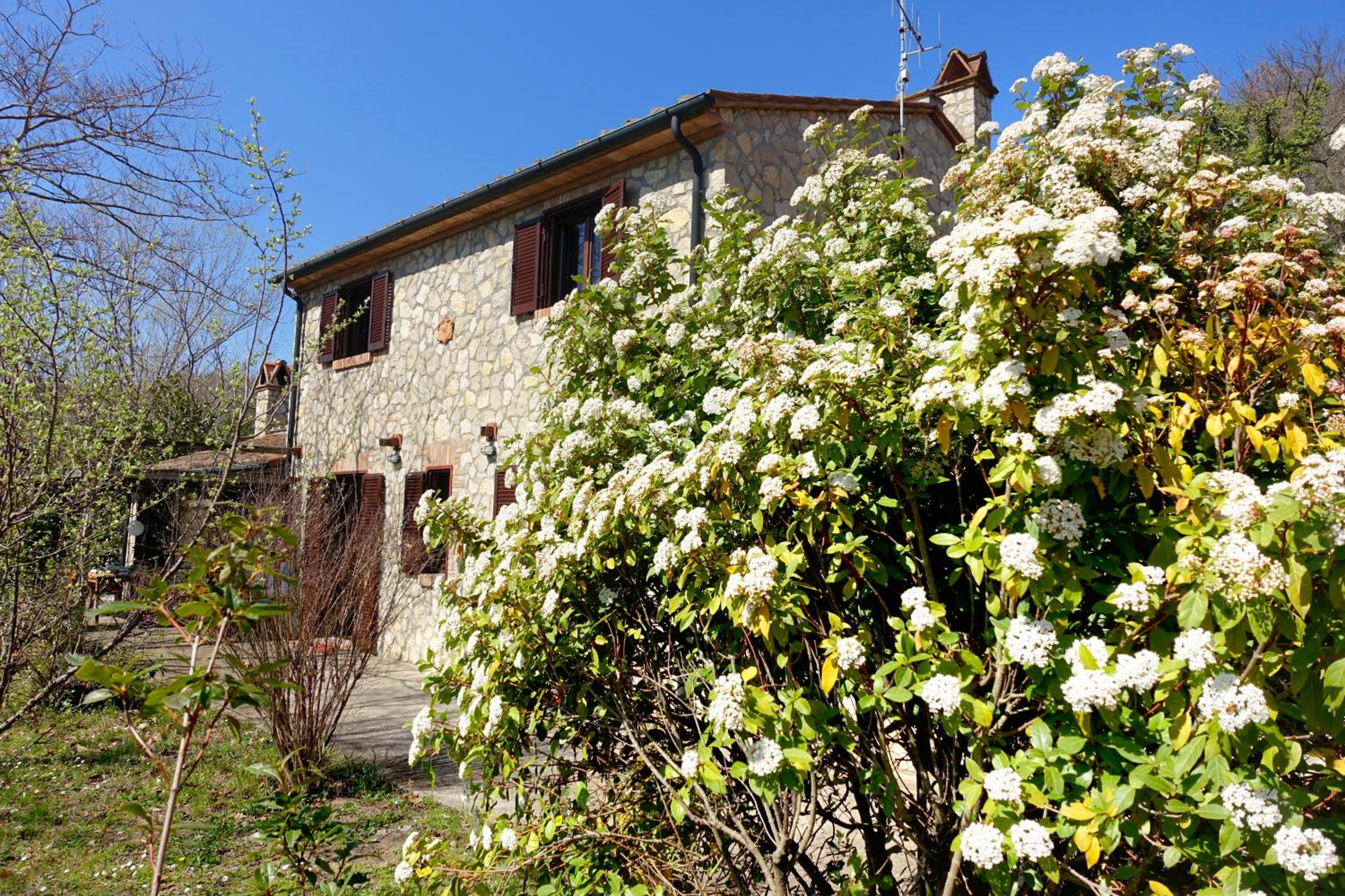 Four-Bedroom House photo 2