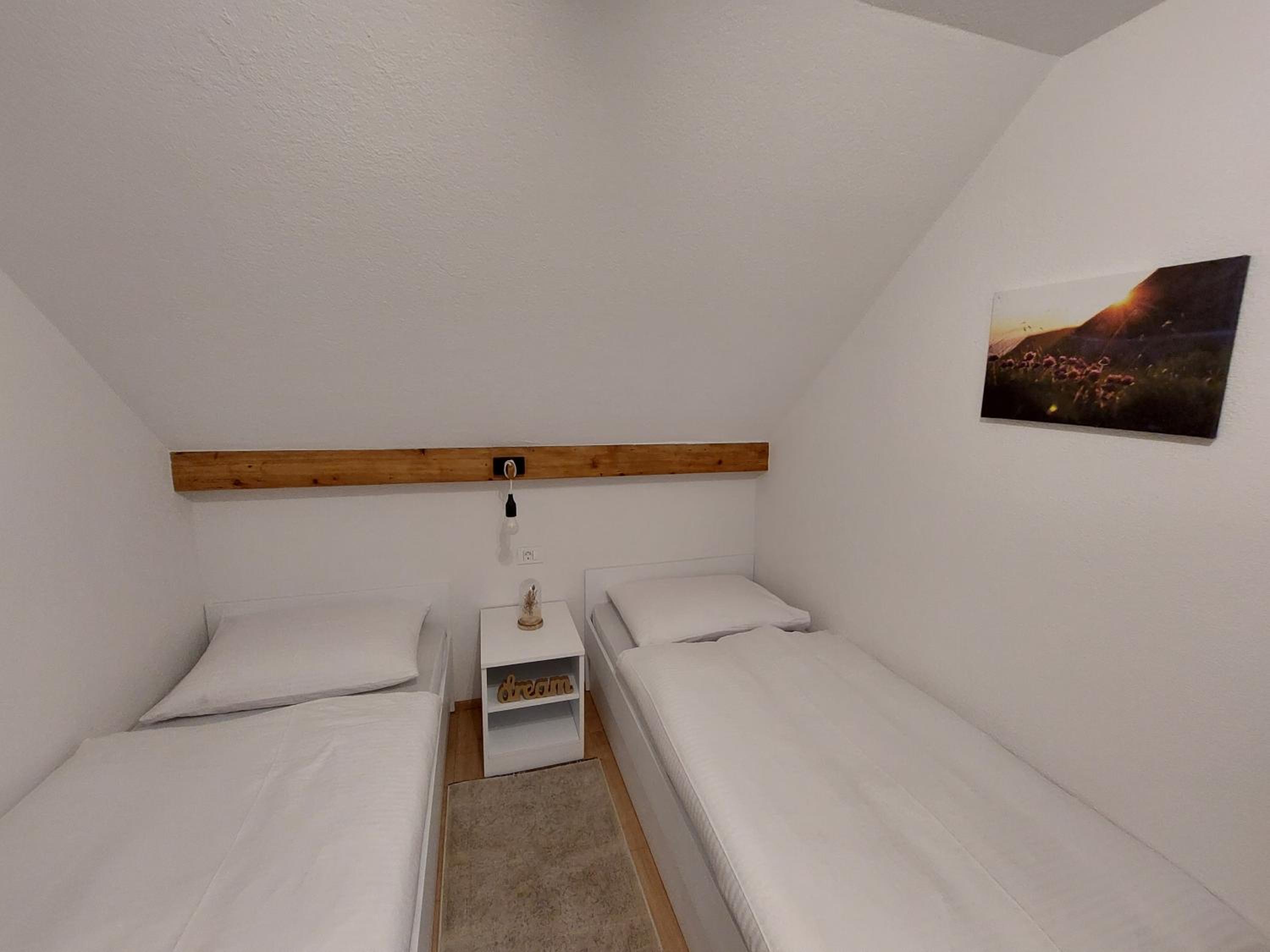 Twin Room with Mountain View photo 3