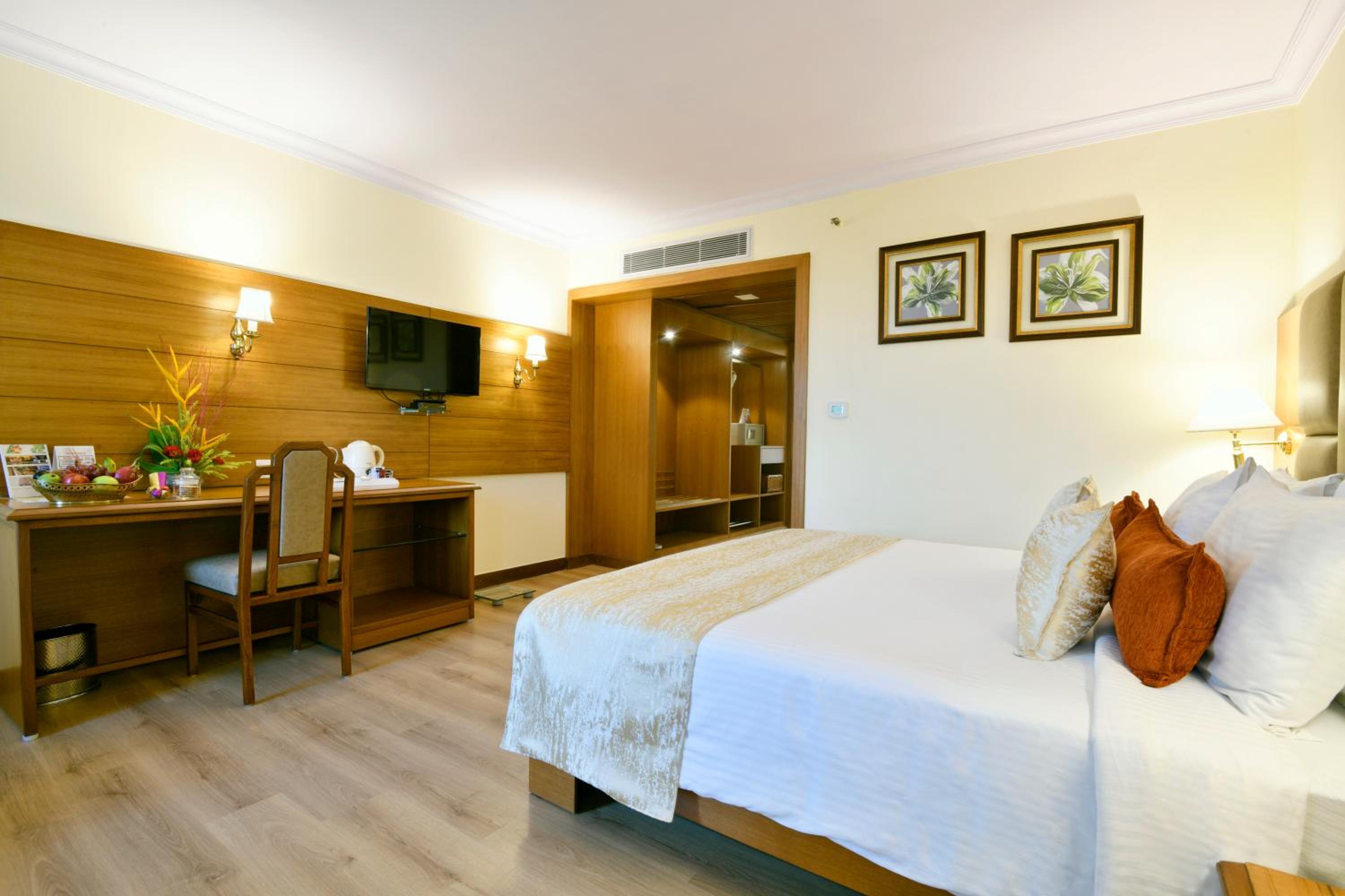 Suite - Photo 1