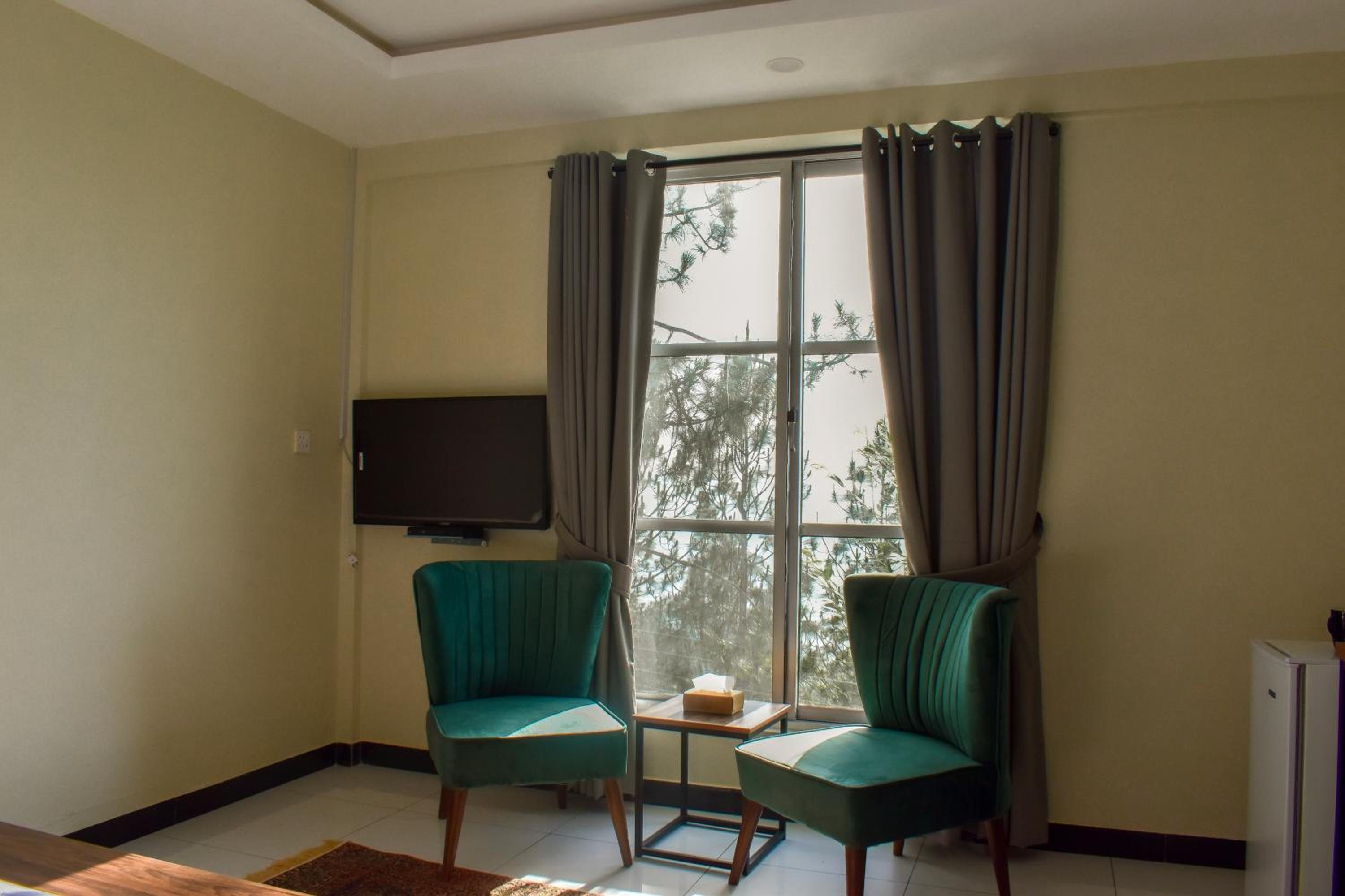 Deluxe Double or Twin Room with Mountain View photo 3