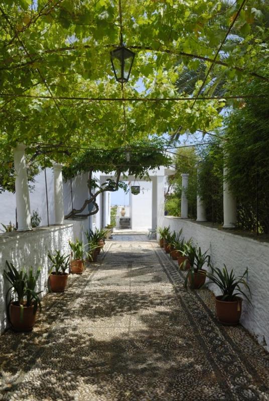 Old Mansion - Photo 3