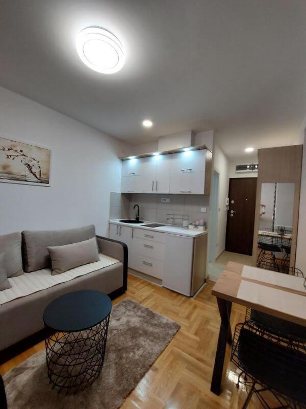 One-Bedroom Apartment photo 3