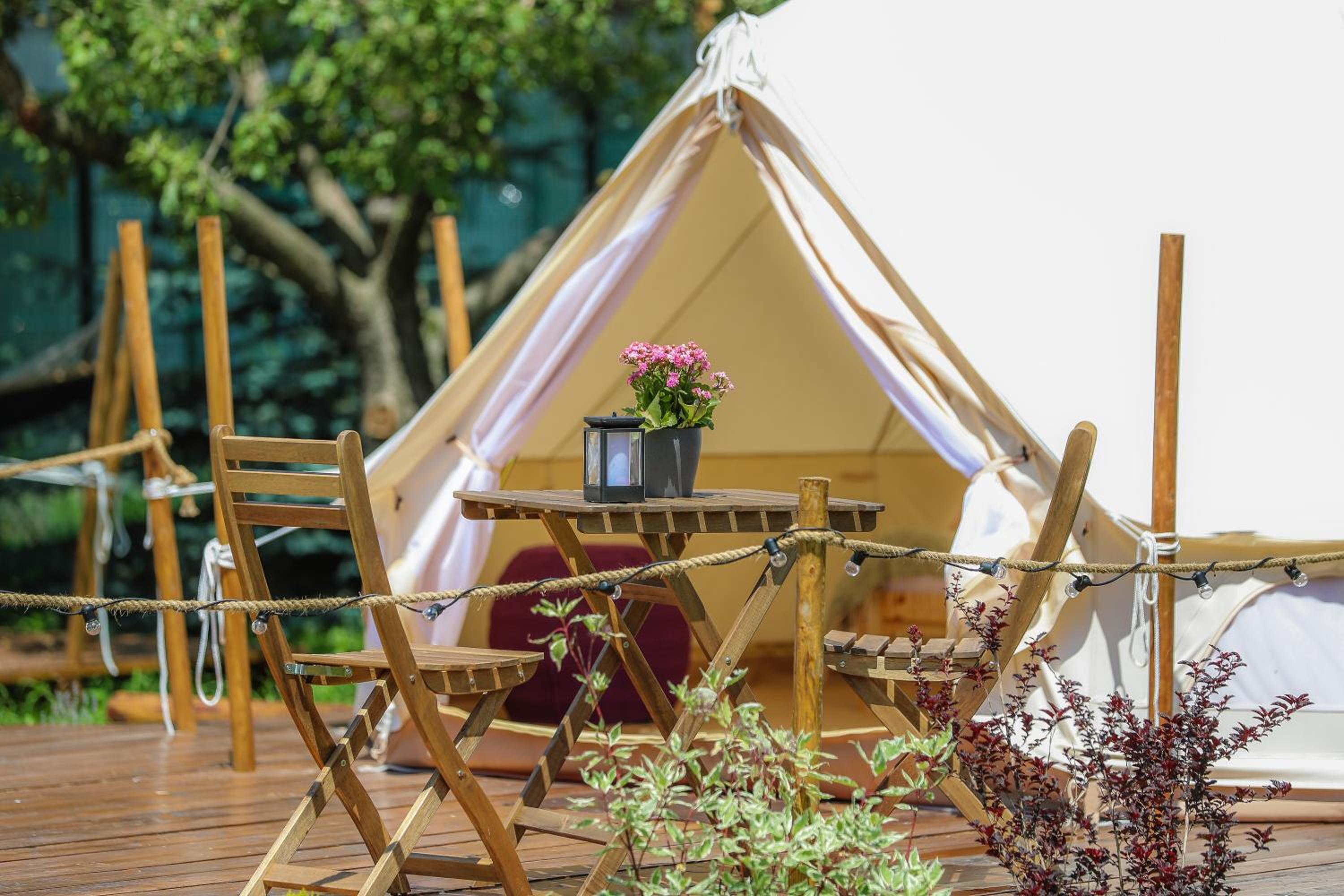 Tent - Photo 4