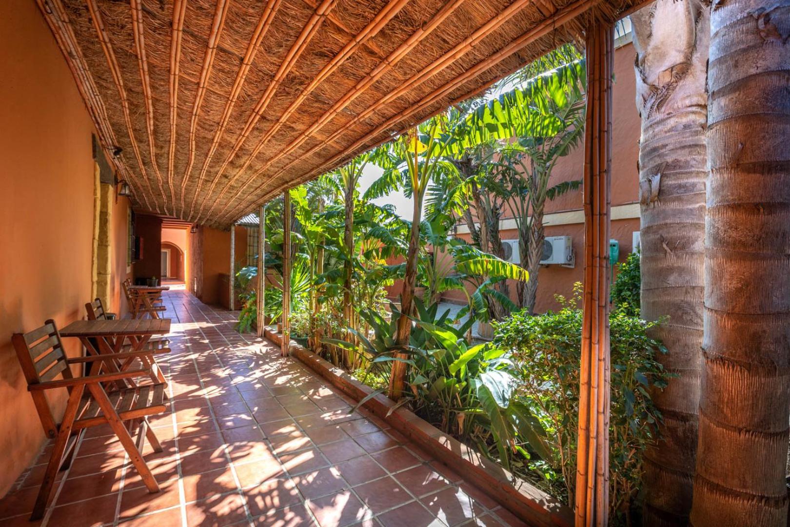 Single Room with Terrace photo 2