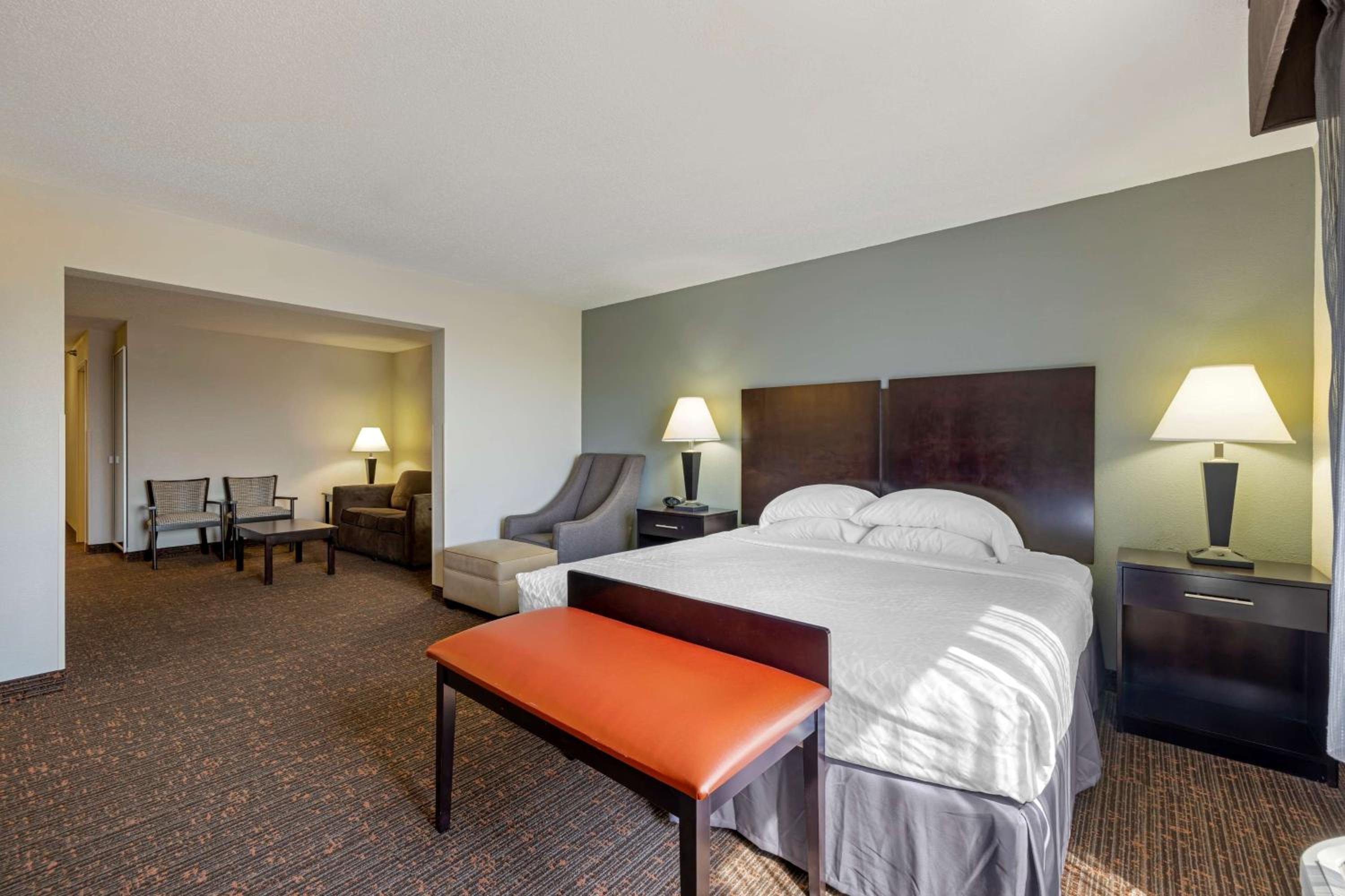 Large King Suite with Sofa Bed - Non-Smoking - Photo 1