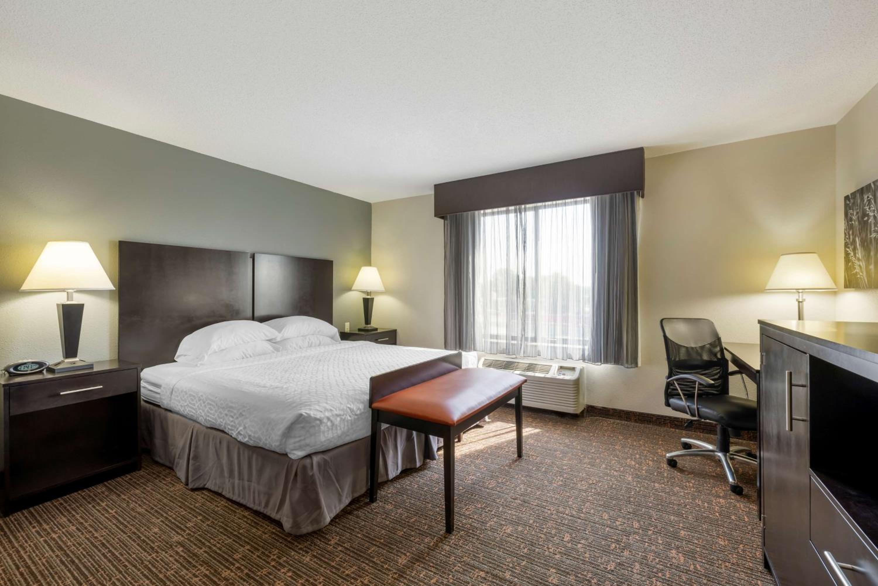 Large King Suite with Sofa Bed - Non-Smoking - Photo 2
