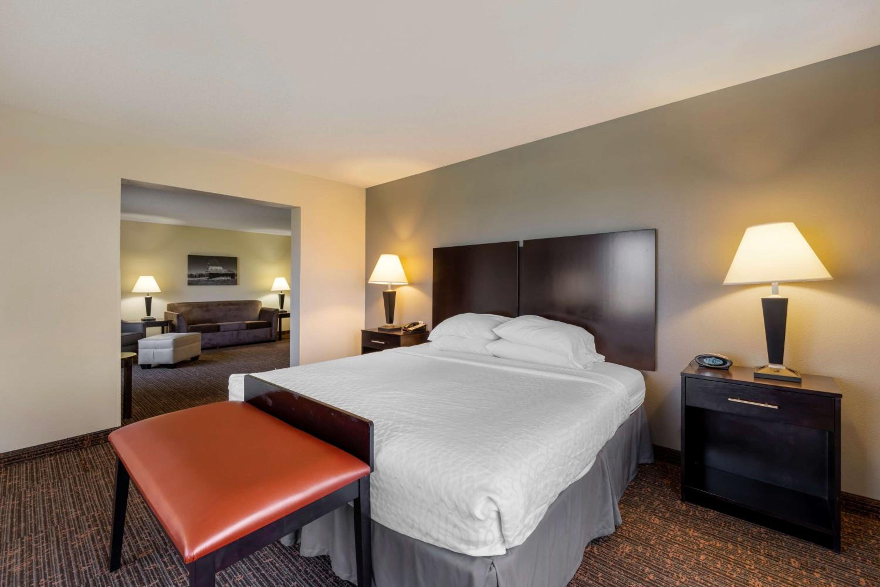 King Room - Non-Smoking - Photo 2