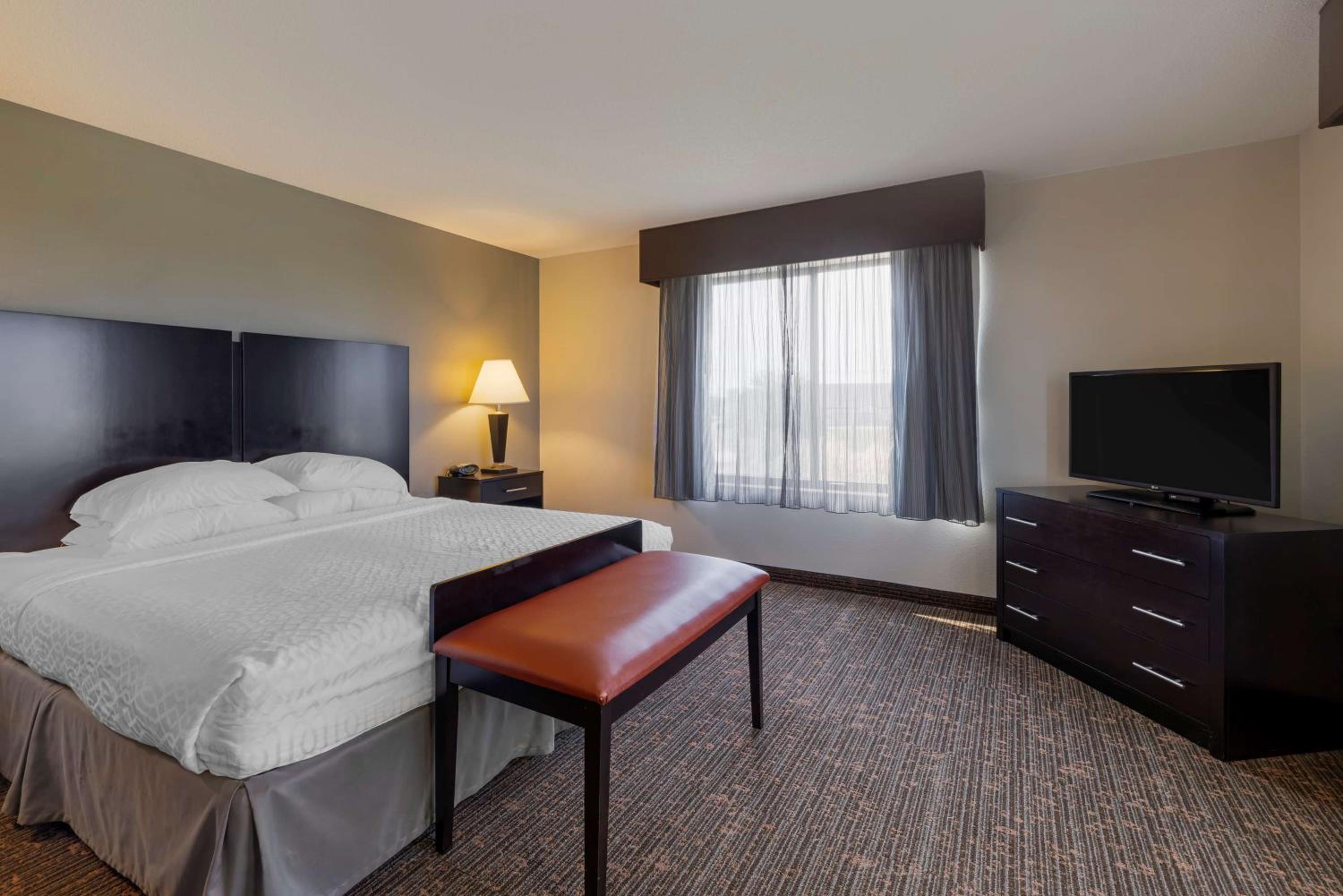 King Suite with Sofa Bed - Non-Smoking - Photo 5