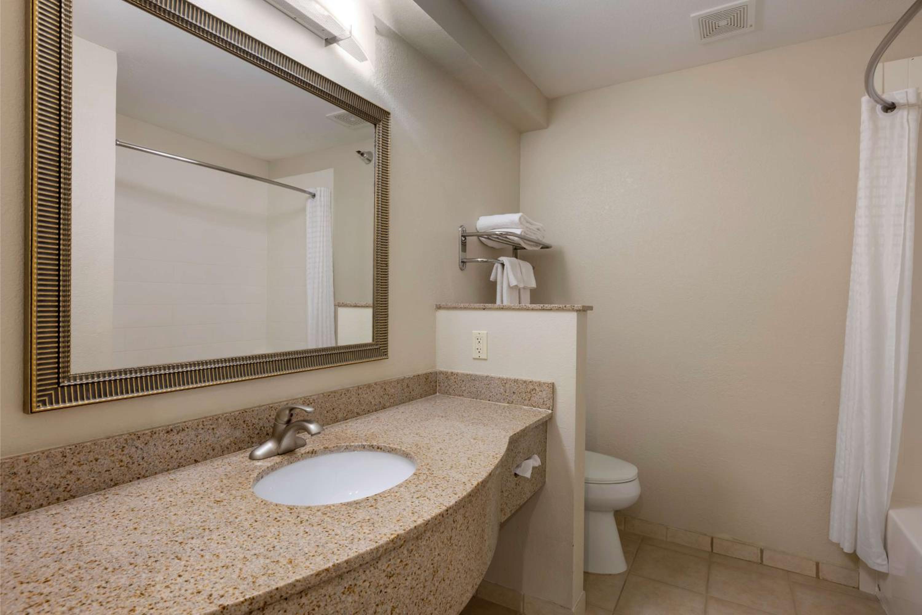 King Suite with Sofa Bed - Non-Smoking - Photo 6