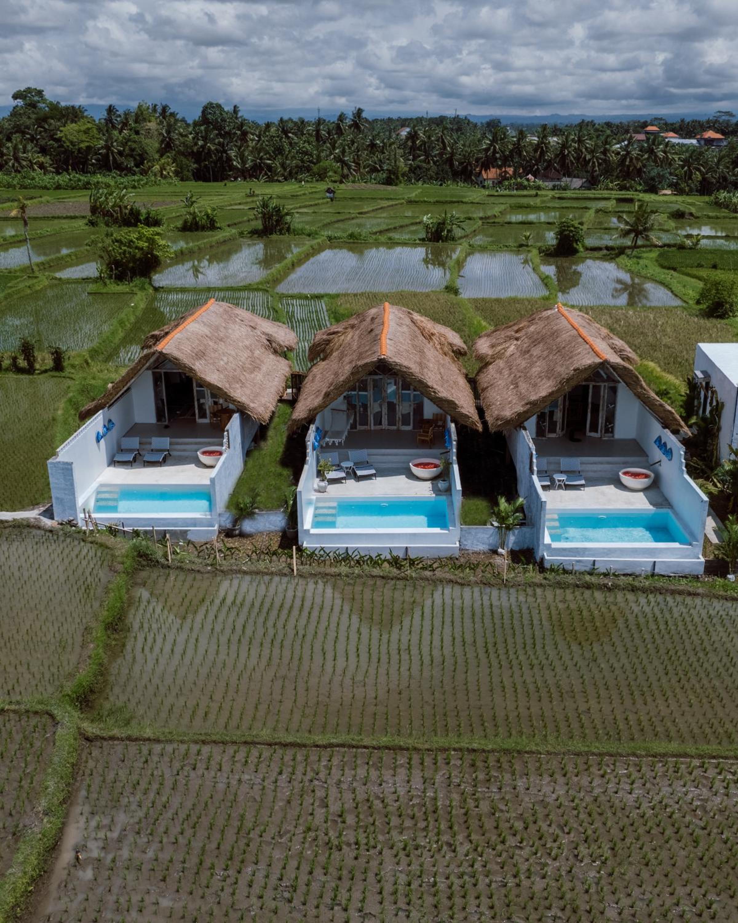 Deluxe Villa - Photo 5