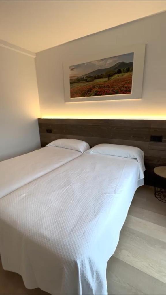 Junior Suite (2 Adults + 2 Children)