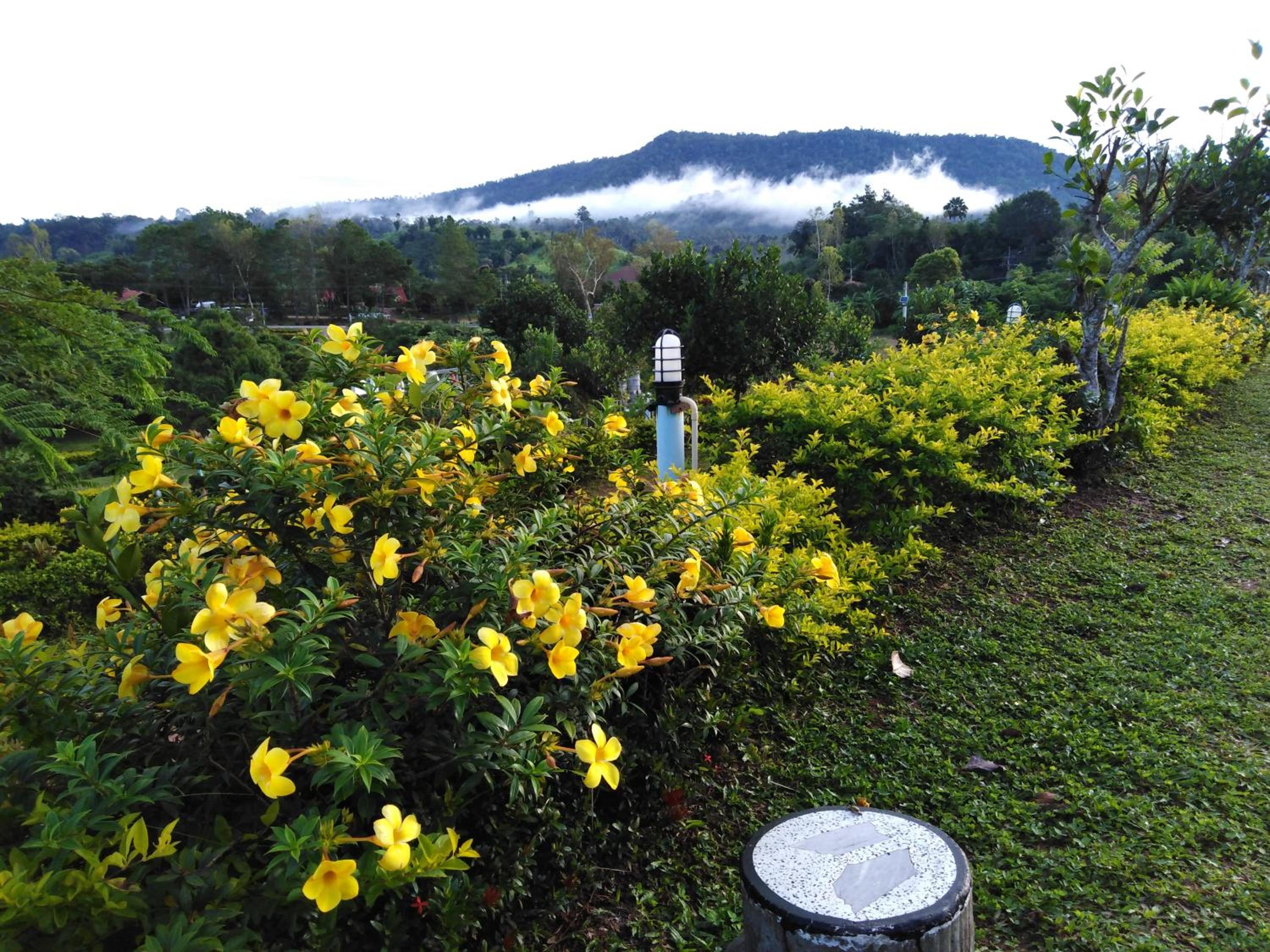 King Room with Mountain View - Photo 7