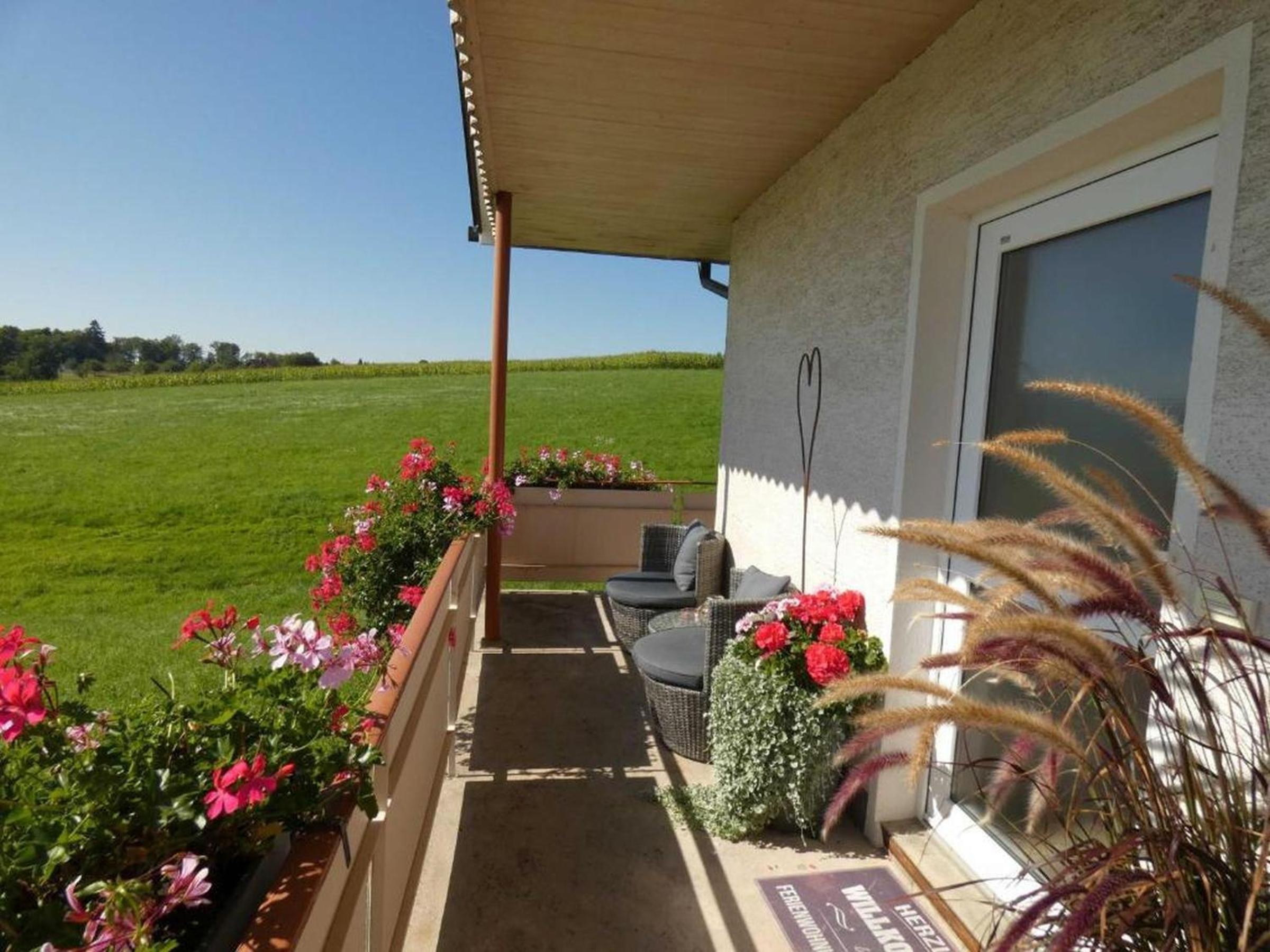 Superior One-Bedroom Apartment with Balcony photo 2