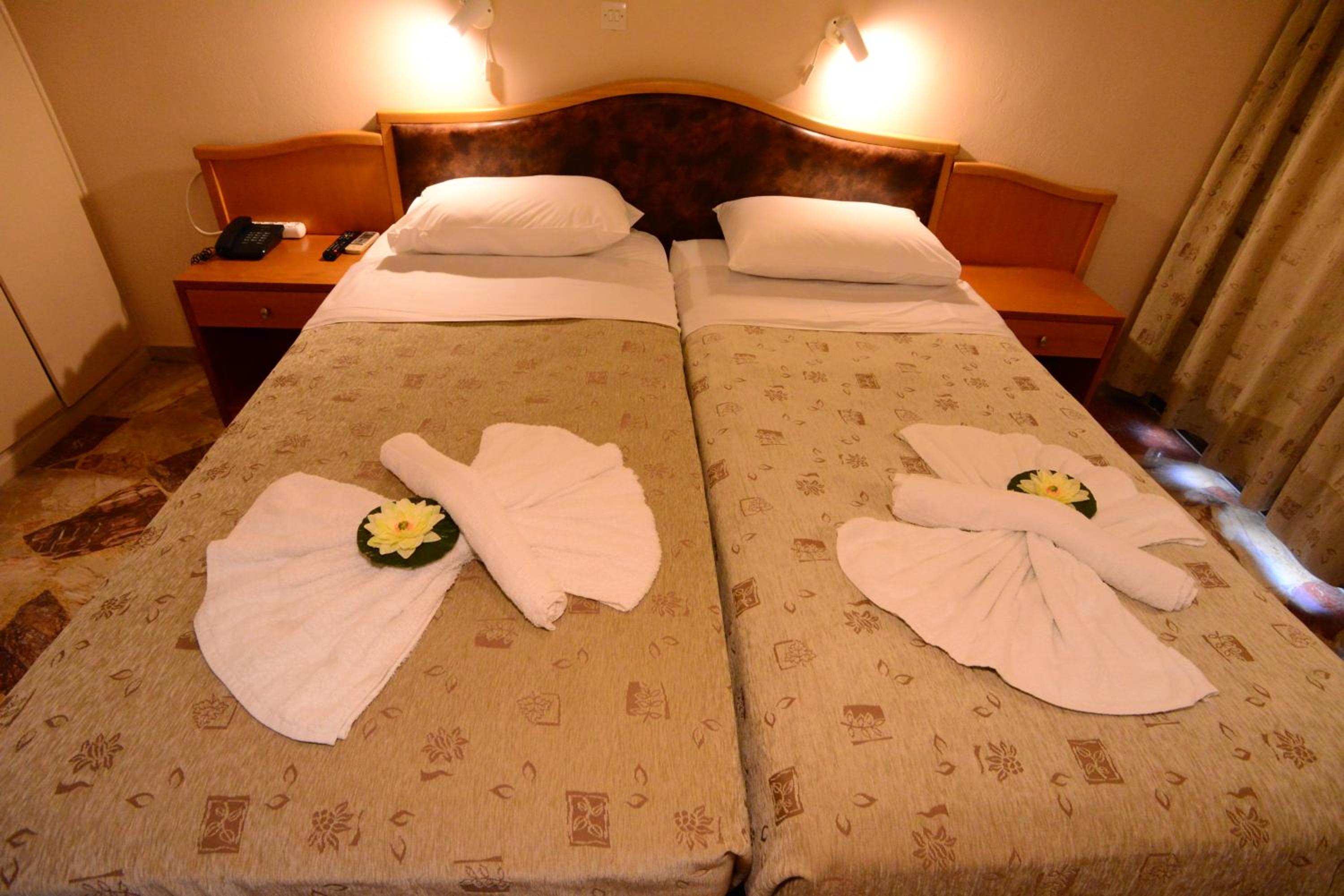Double or Twin Room with City View photo 2