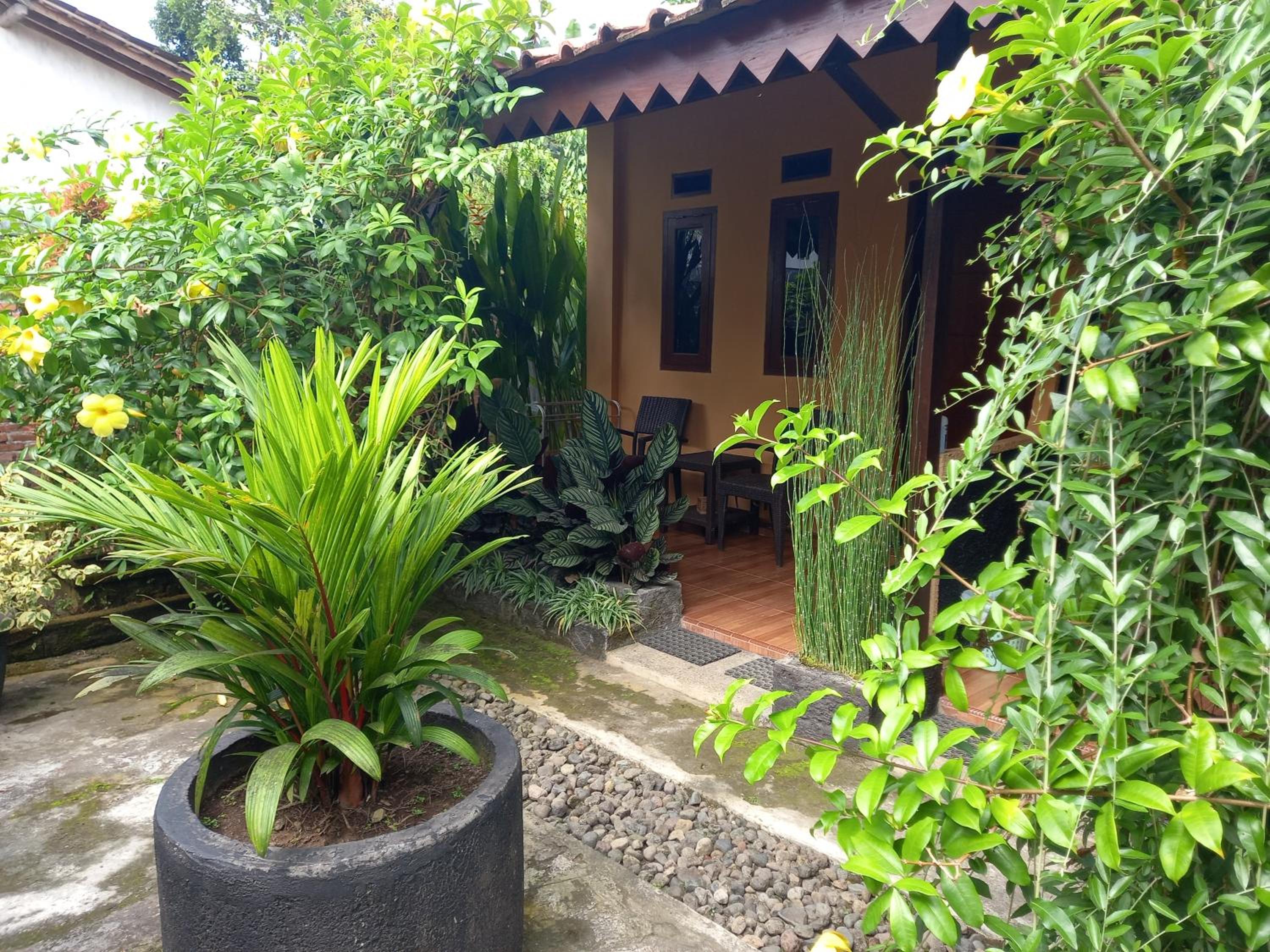 Standard Double Room - Photo 2