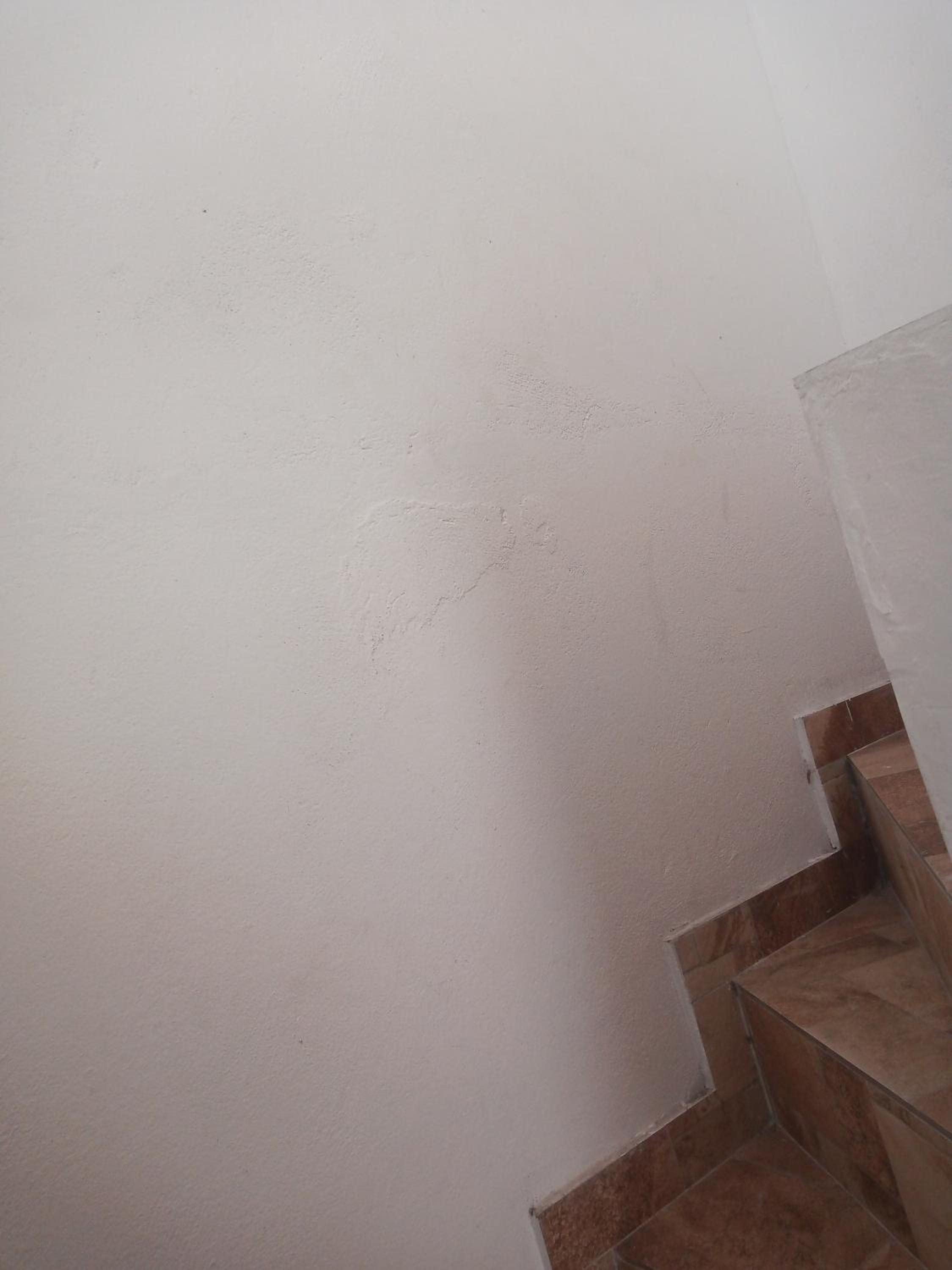 Apartment - Photo 12