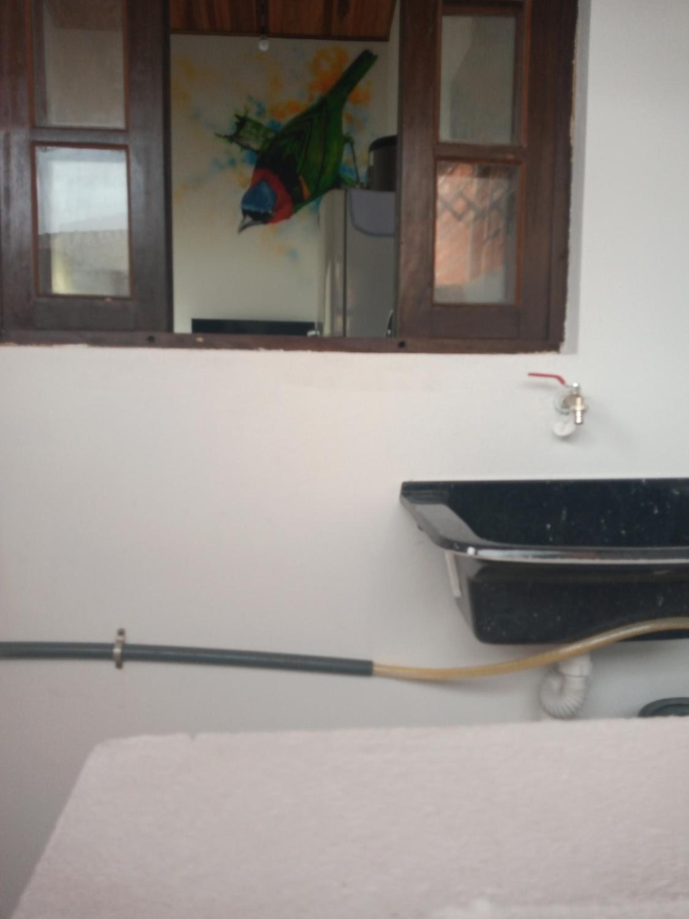 Apartment - Photo 5