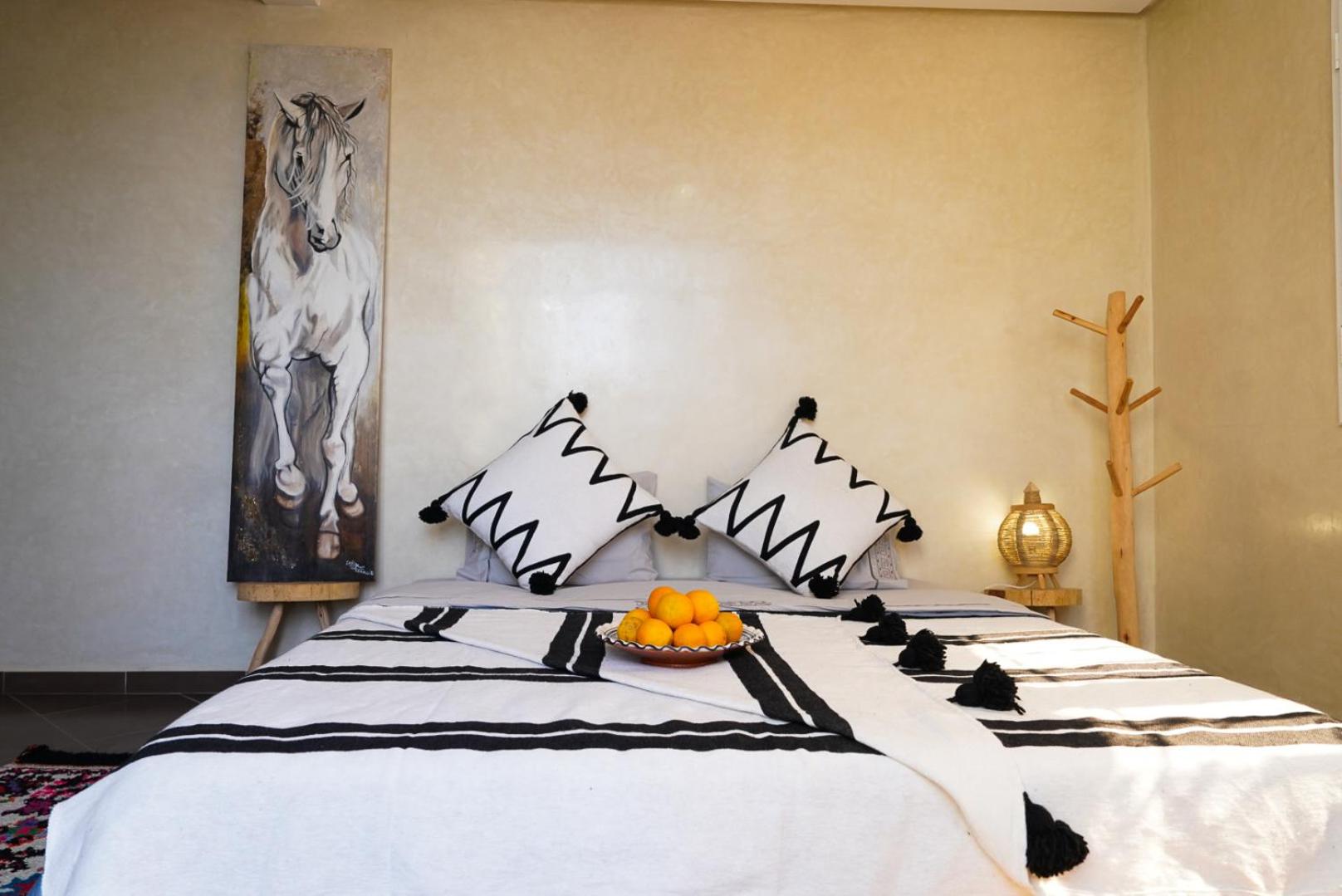 King Studio - Photo 1