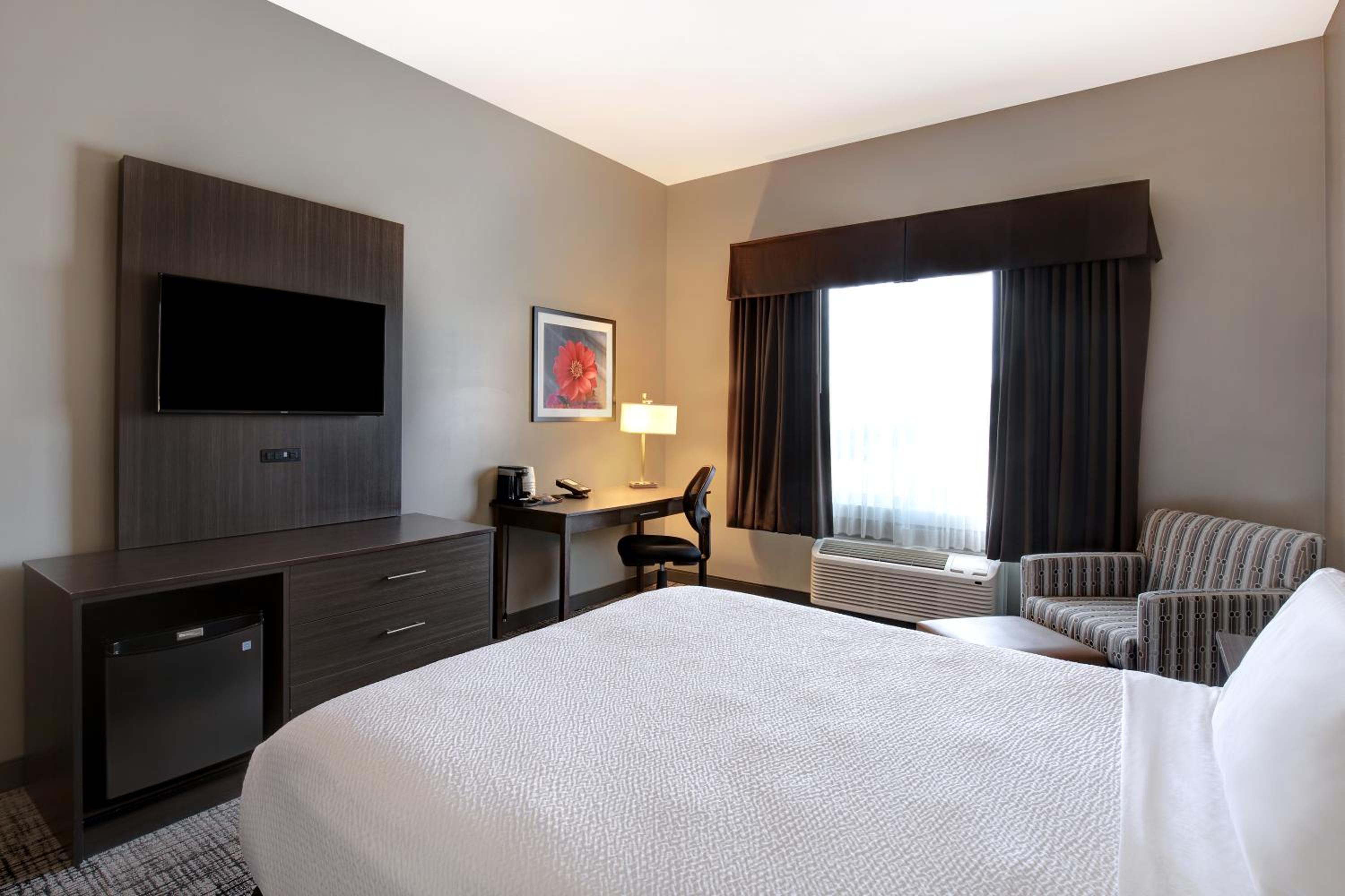 Queen Room - Disability Access photo 2